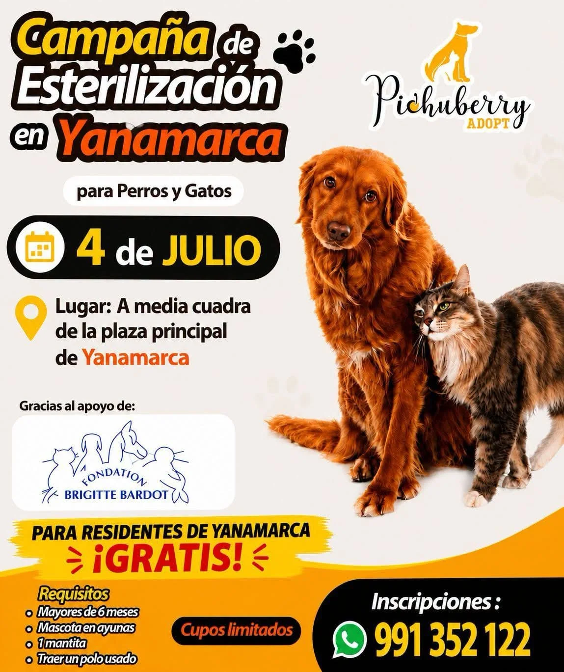 Campaign Flyer