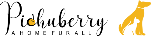 Pichuberry Logo