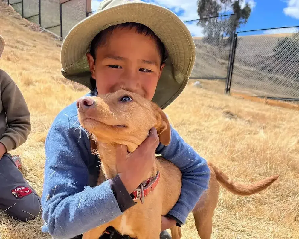 Boy with adopted rescue dog