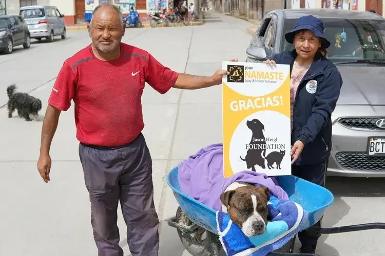 People with a rescue dog at a campaign
