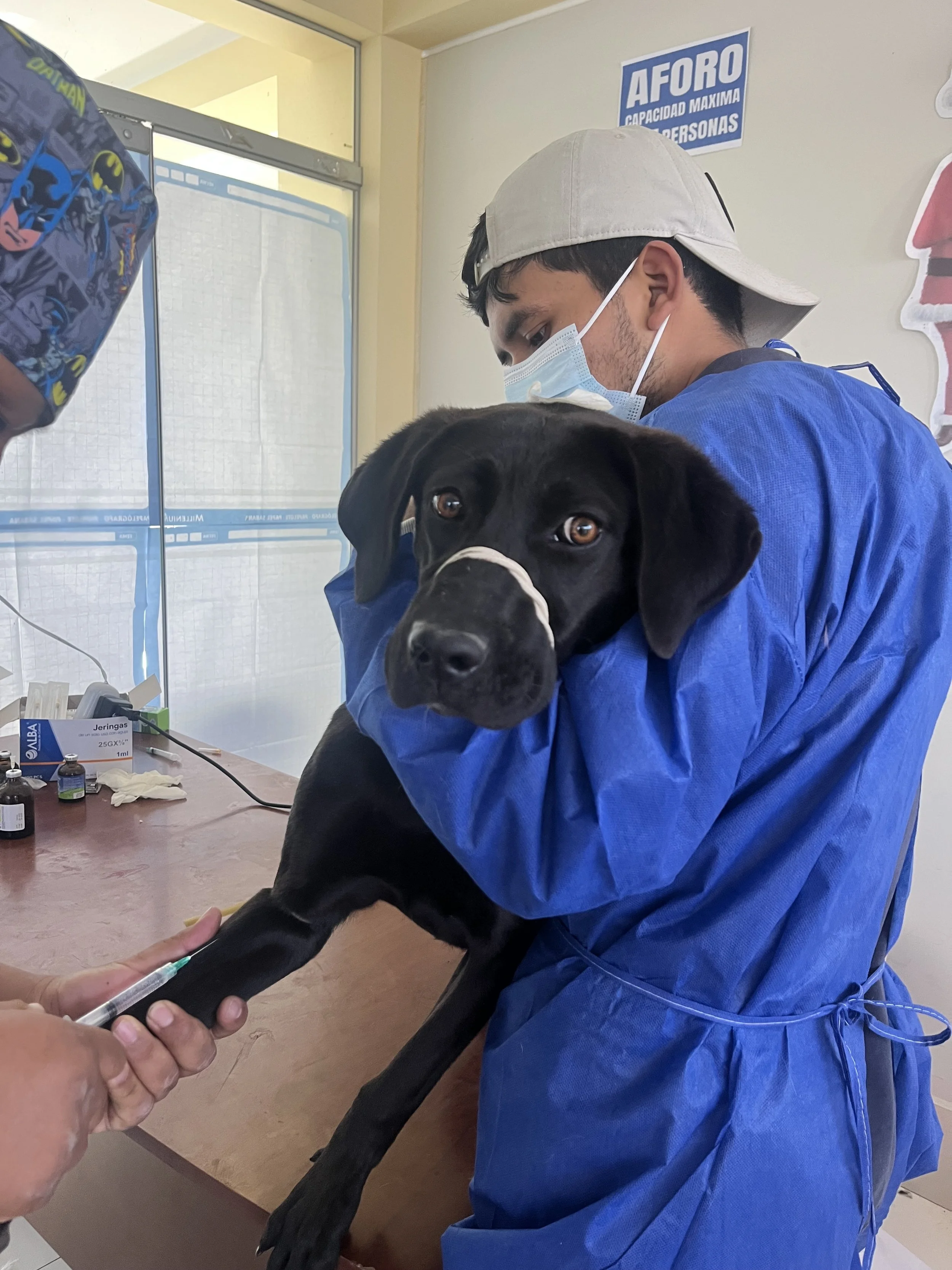 man in scrubs holding dog
