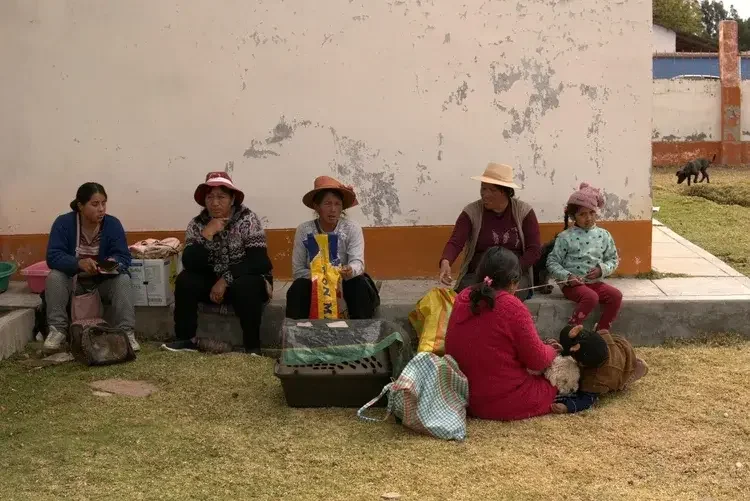 Community people waiting to adopt rescue dogs