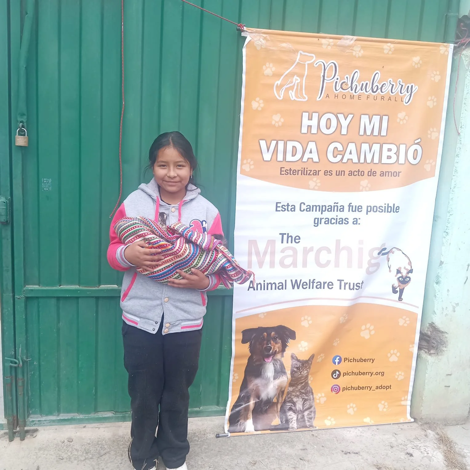 Young girl holding a small dog wrapped in a colorful blanket, standing next to an animal welfare organization banner that says 'Hoy mi vida cambió,' with pictures of dogs and cats, on a green metal gate background.