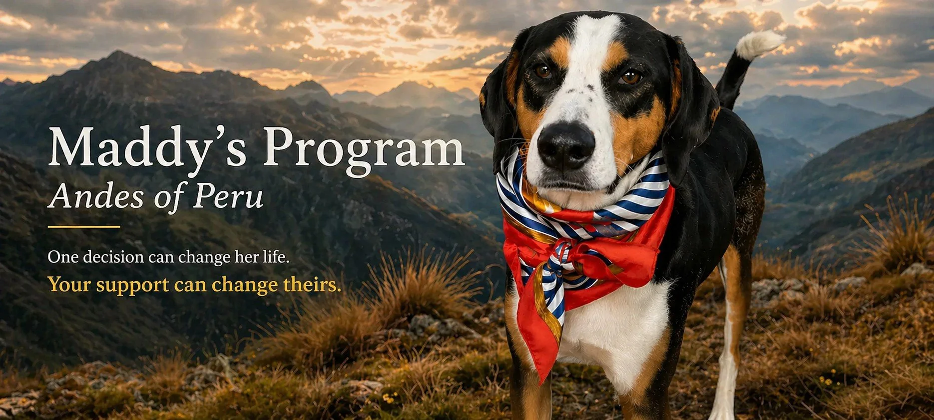 maddy's-program-dog-banner