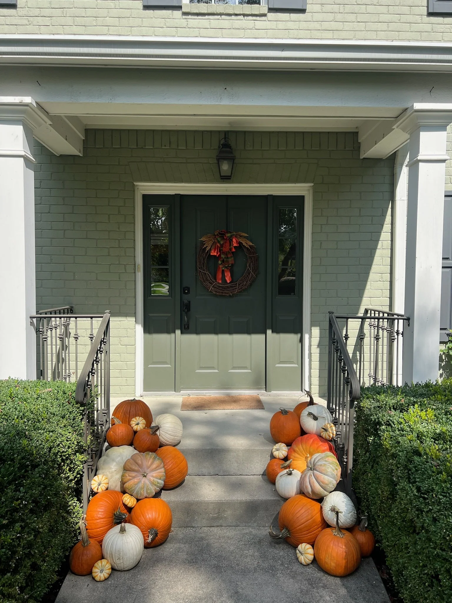 Pumpkin Patch Starter