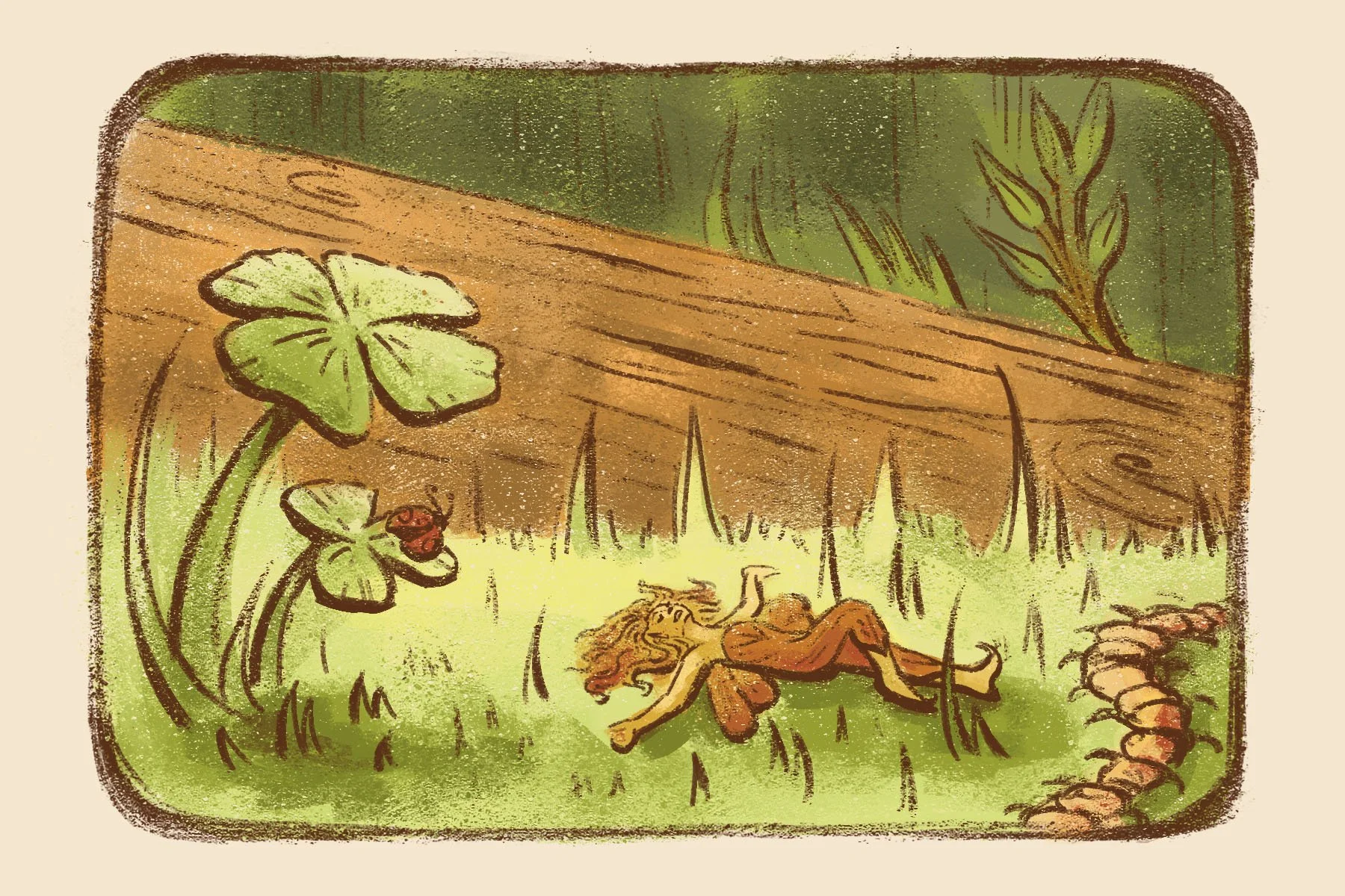postcard.clover.jpg