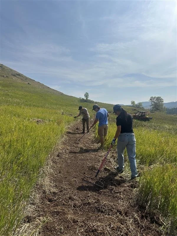 Fall Dig Day