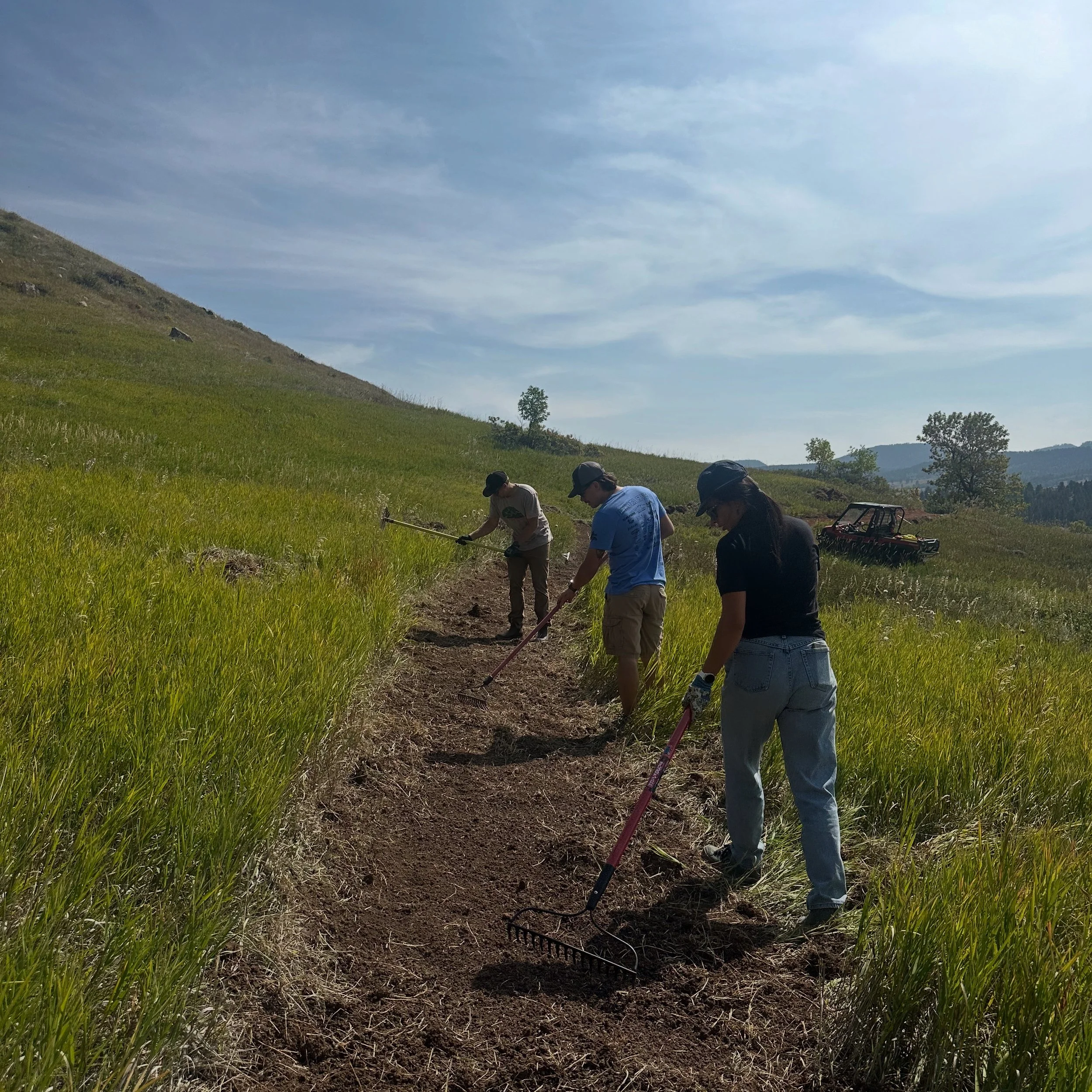 VOLUNTEER TRAIL WORKDAY