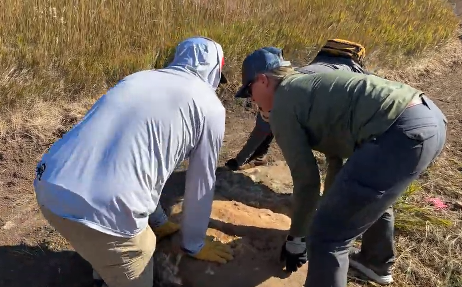 People digging in a dirt field, possibly uncovering or working on something underground.