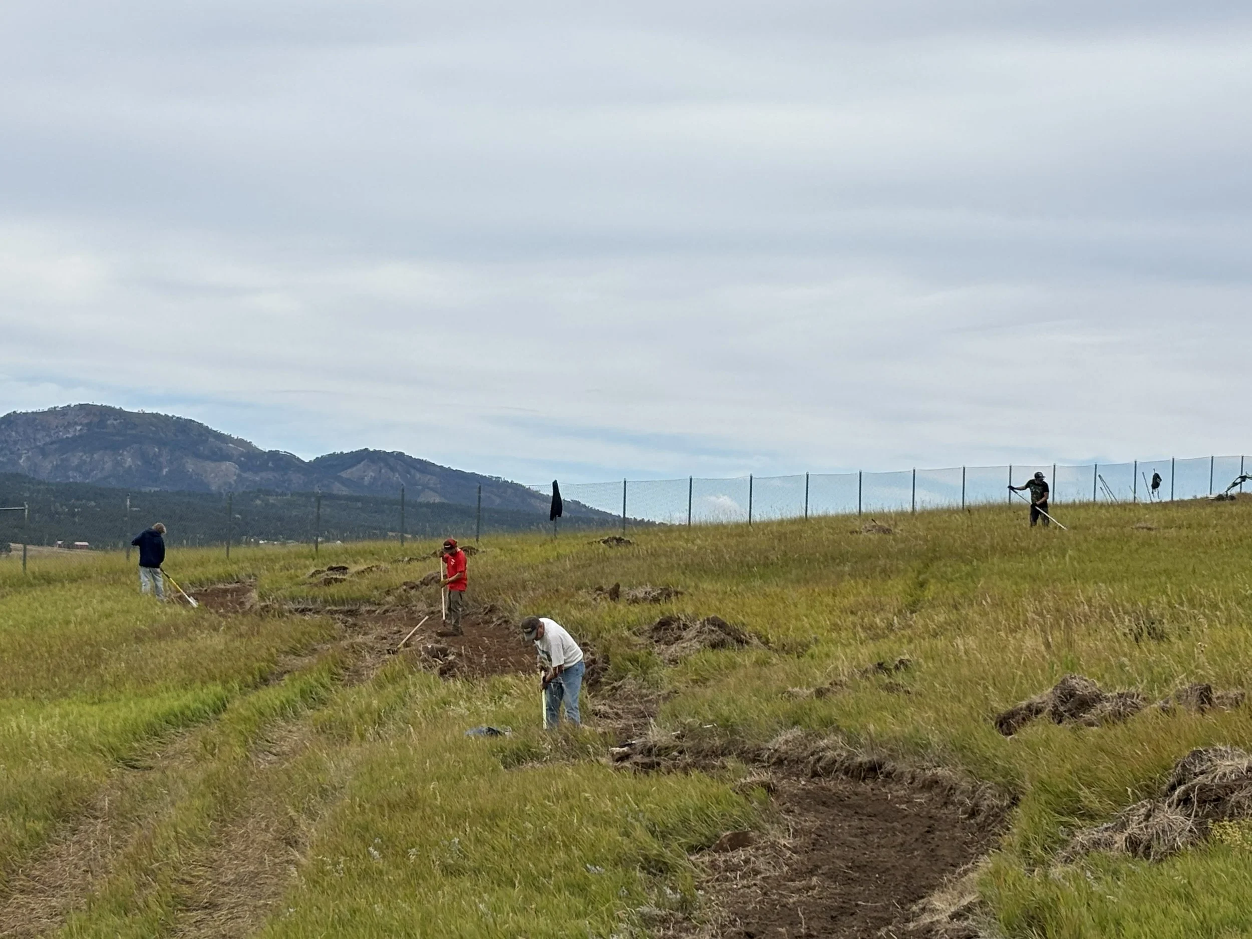 People working on a hillside with gardening tools, under a cloudy sky, landscape with mountains in the background.