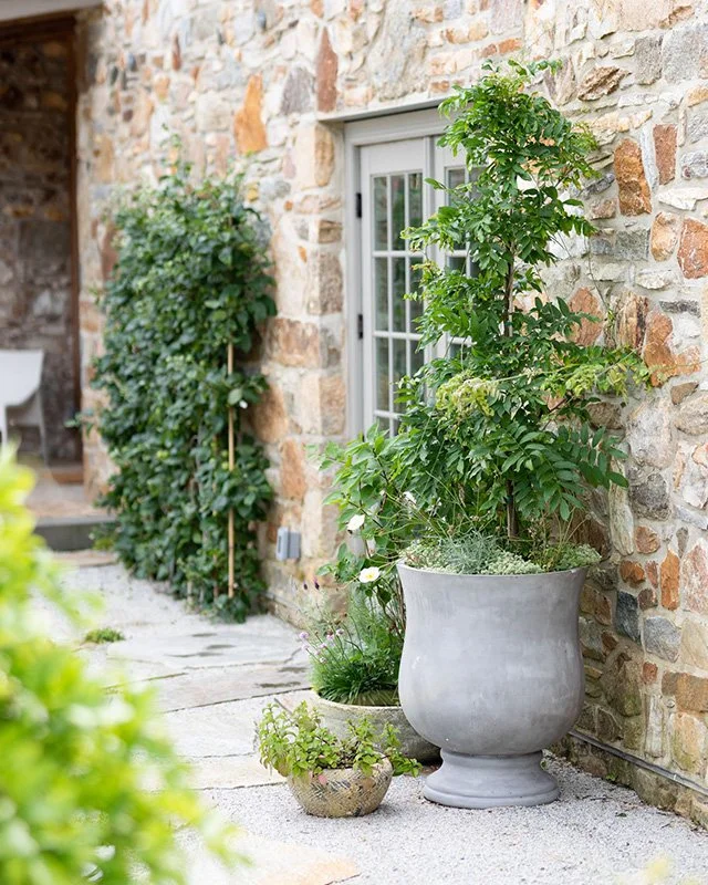 Stone patio area with potted plants and a brick wall background