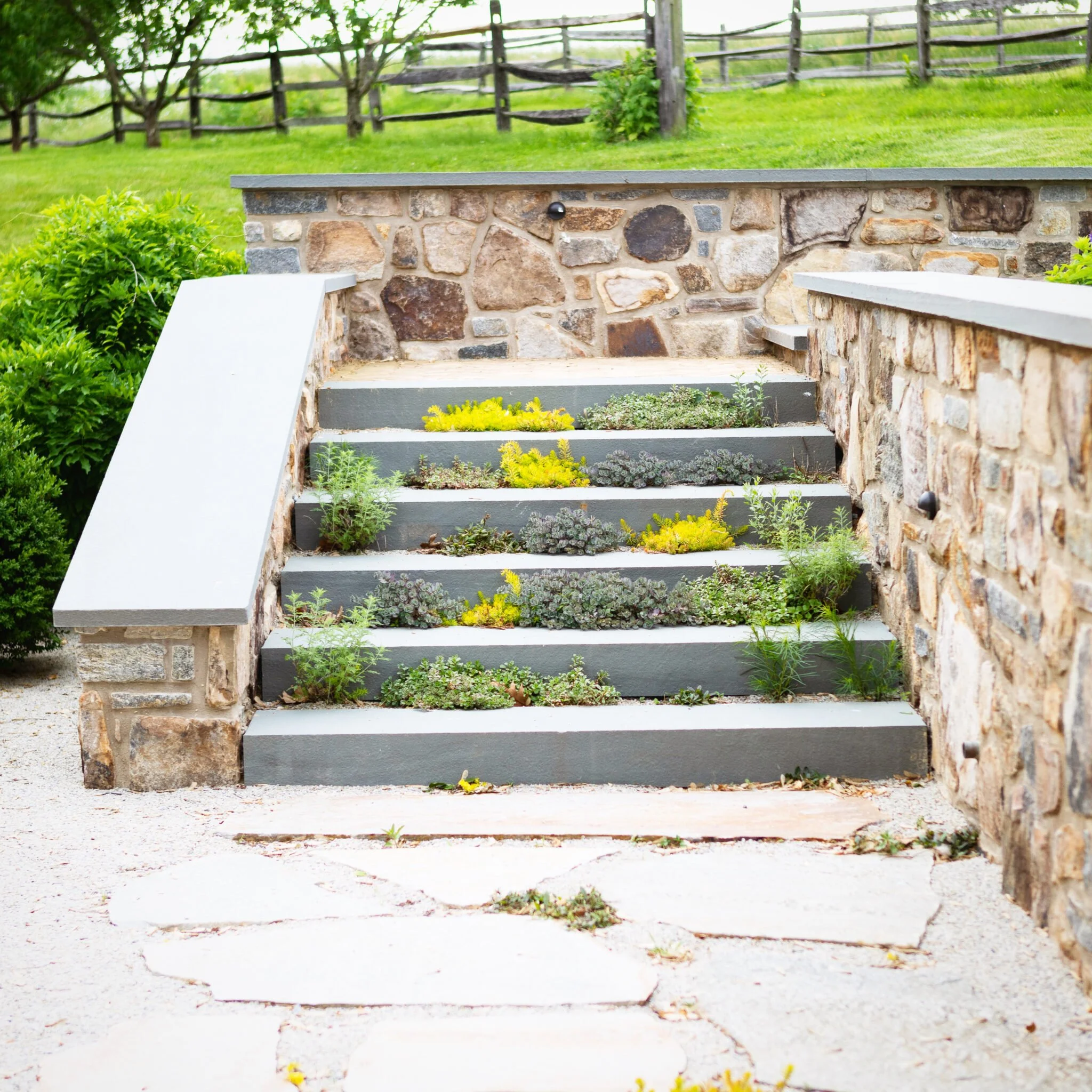 Stone steps with plants growing in crevices, bordered by stone walls.