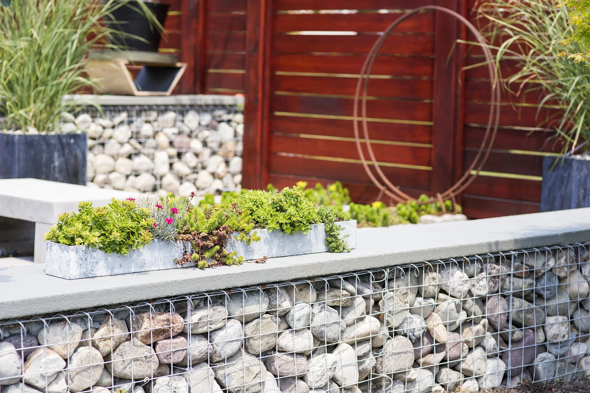Gabion wall with rocks topped by planters containing greenery and flowers, set in a modern garden with a wood fence backdrop.