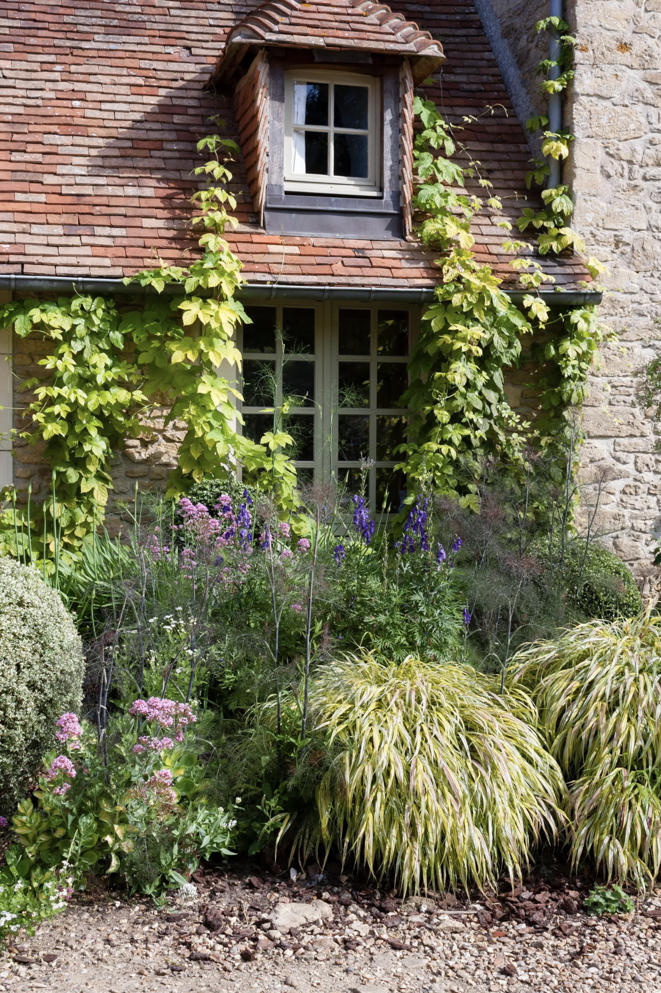 Rustic house with stone walls, tiled roof, and lush garden featuring flowering plants and creeping vines.