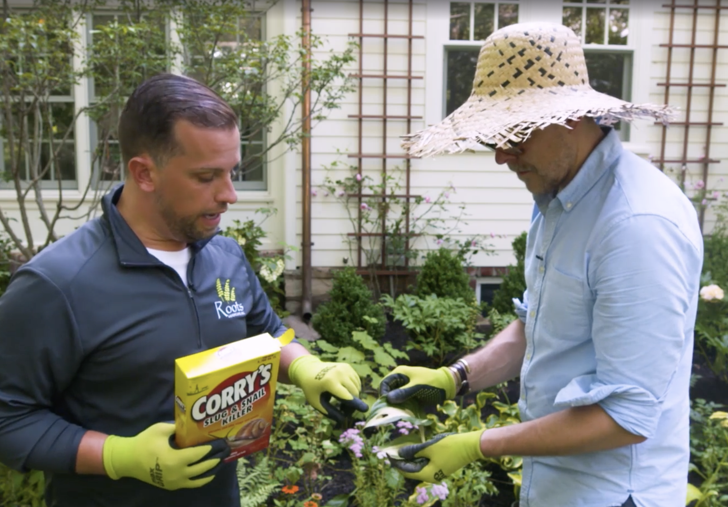 Two men in a garden discussing slug and snail control, one holding a box of slug killer, both wearing gloves and one with a straw hat.