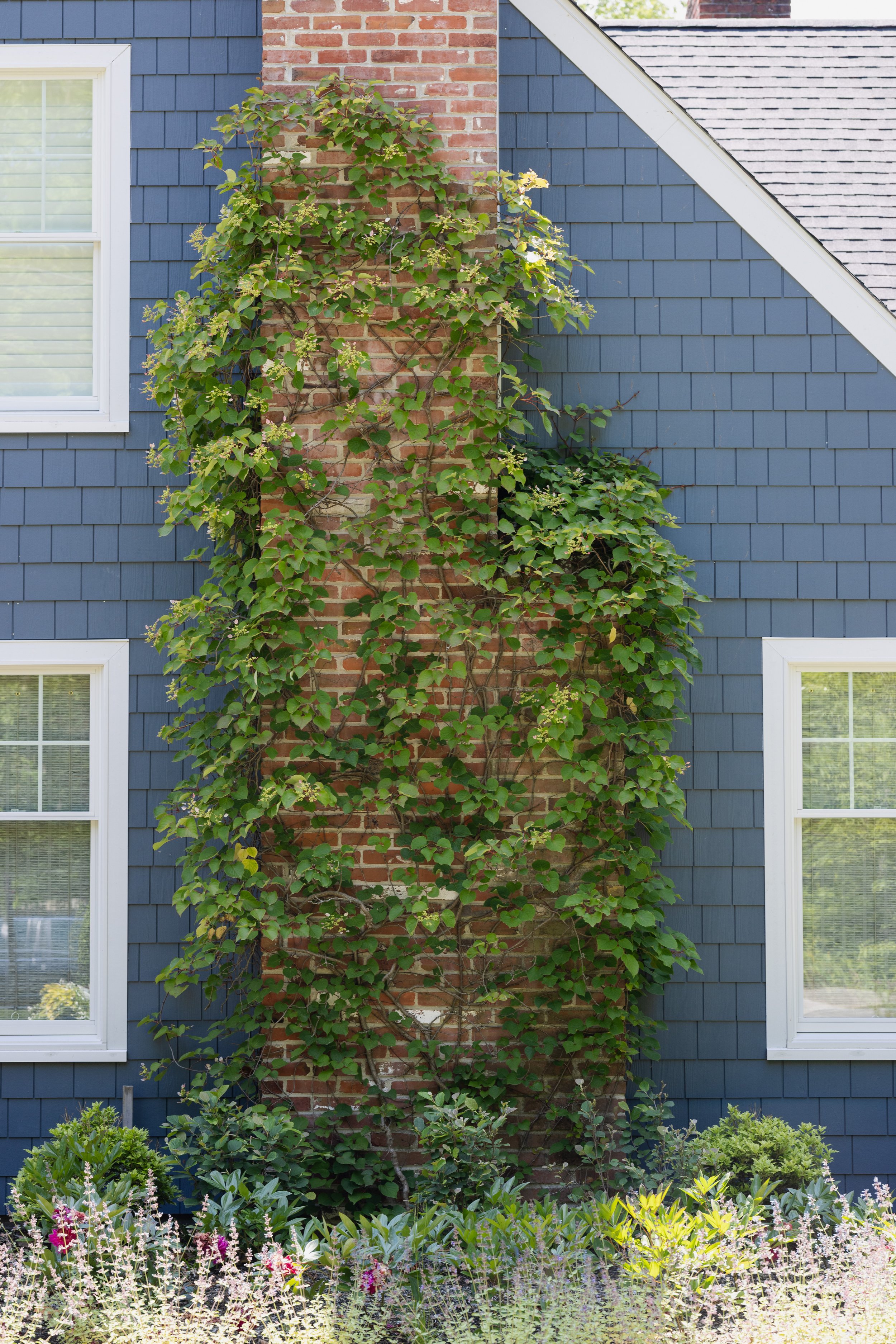 Devon, Pennsylvania Property