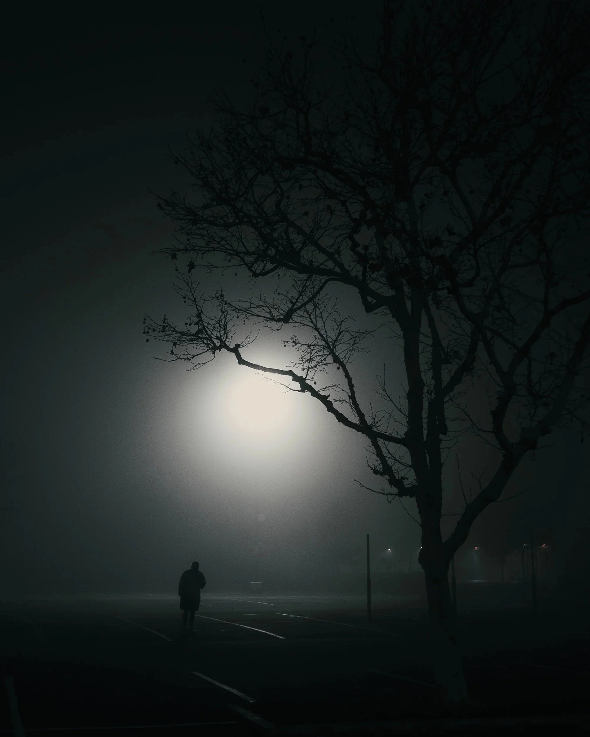 night-fog.jpg
