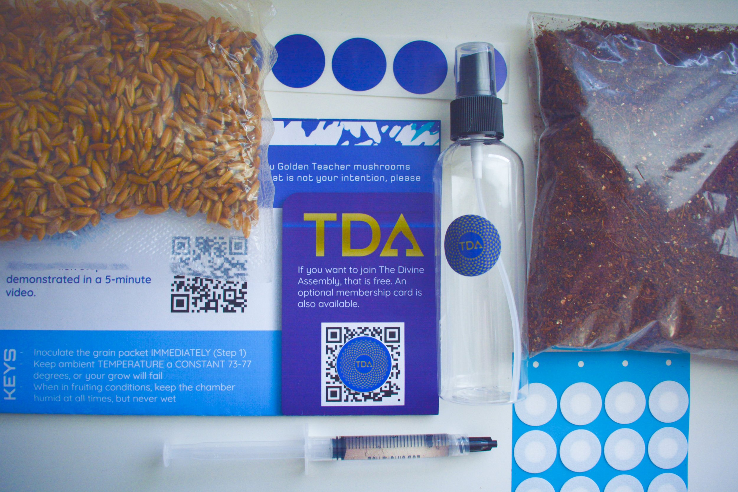 TDA_Kit 22.jpg