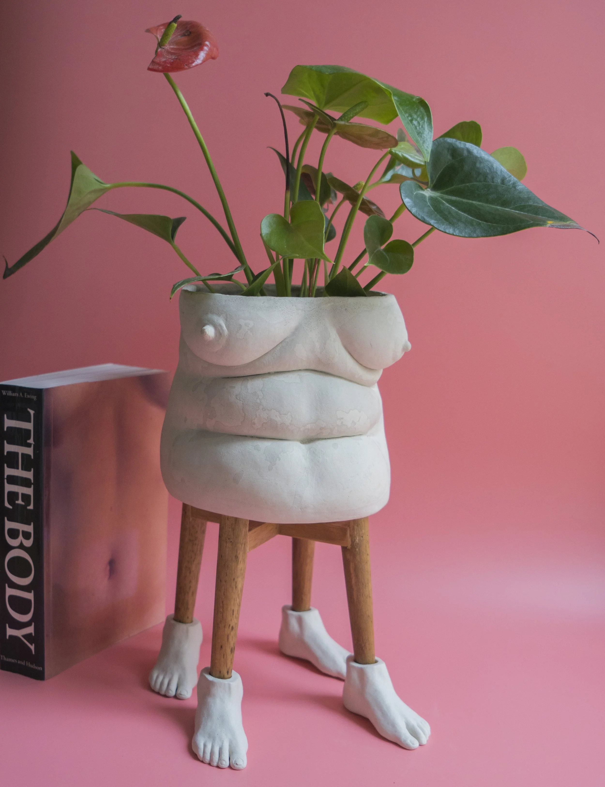 Pot Belly