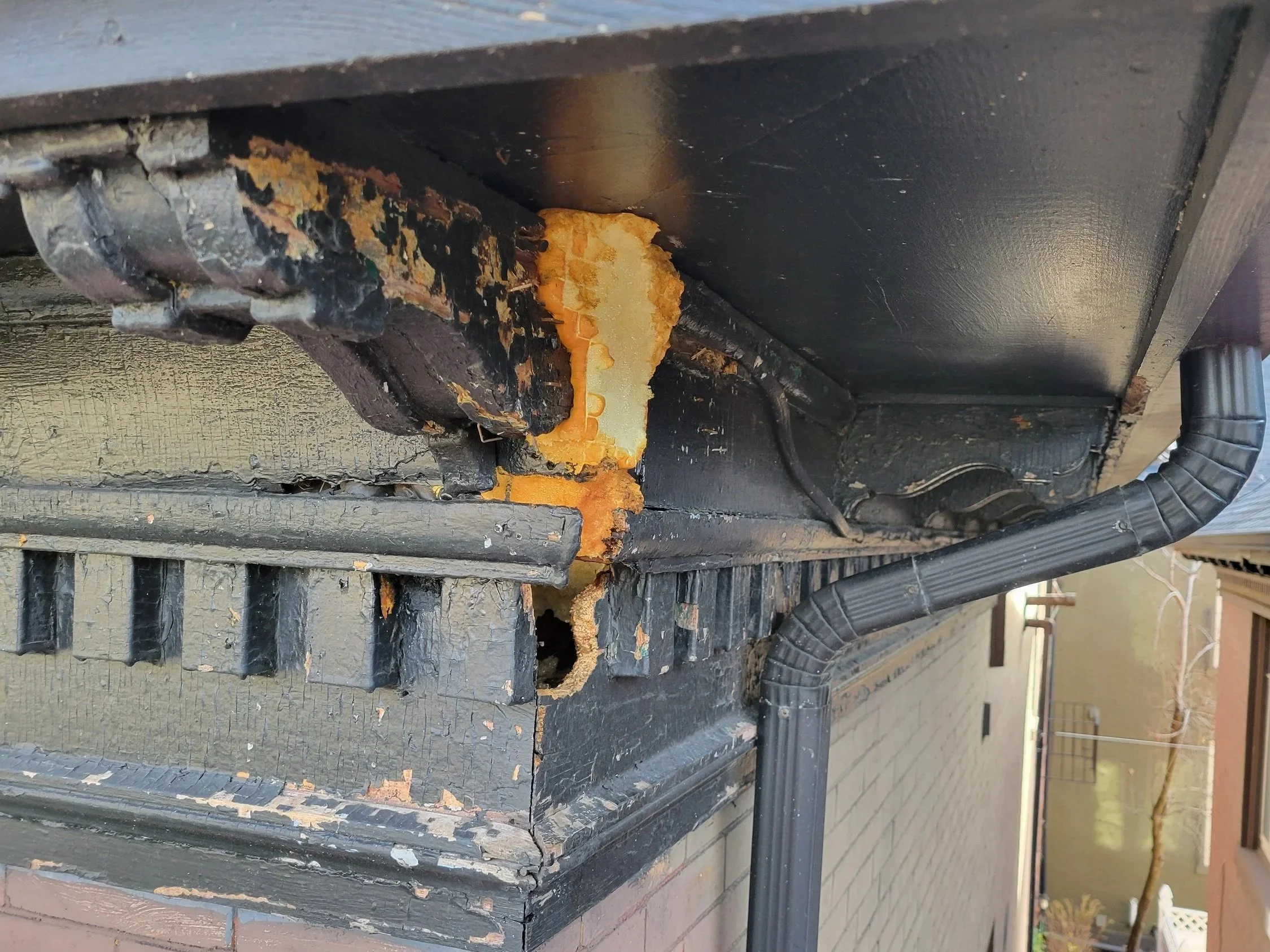 Close-up of damaged and deteriorating building exterior with cracked paint, exposed foam insulation, and rusted metal components near the corner of a structure, with a black plastic gutter running along the side.