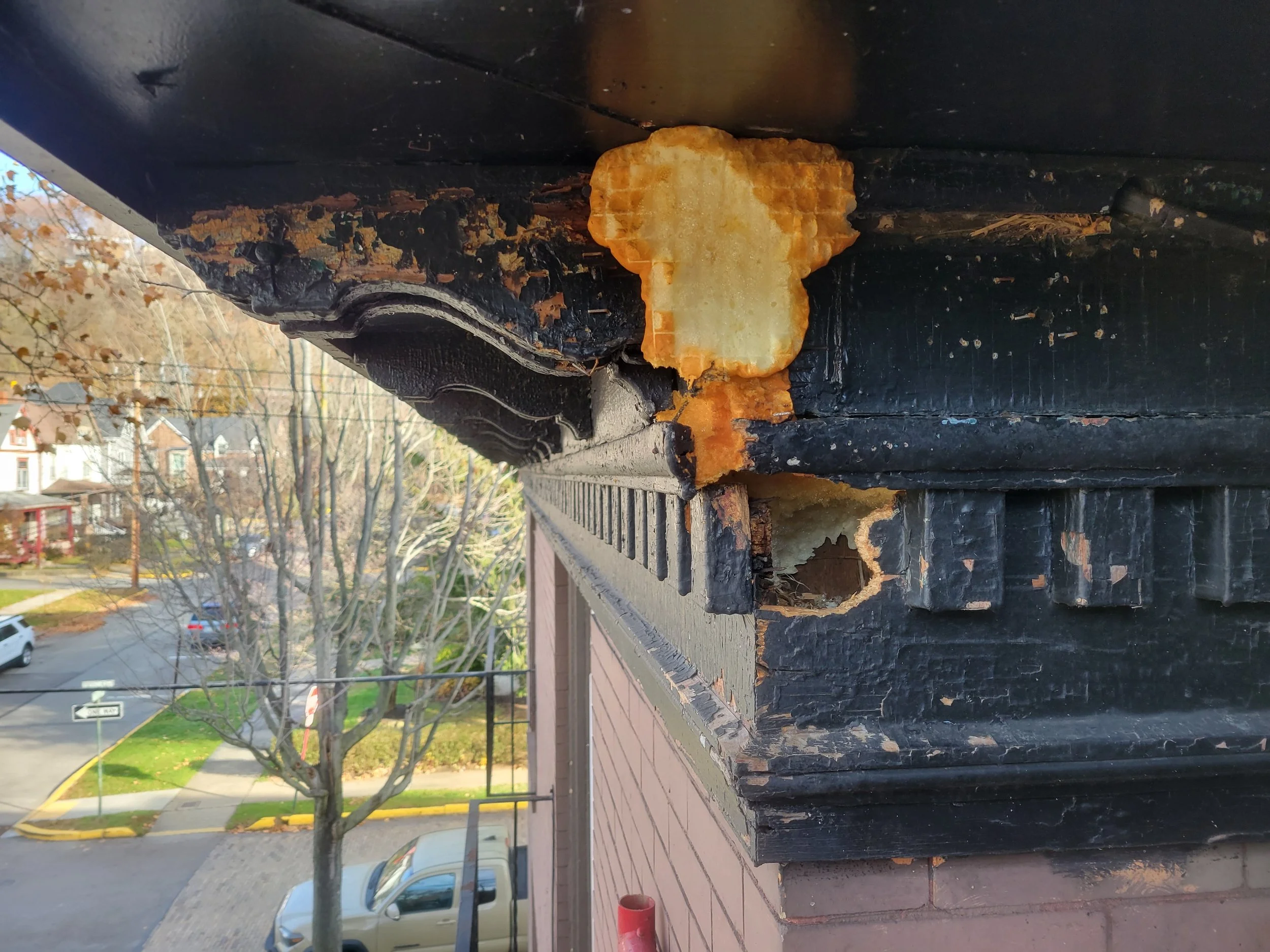 Close-up of a chipped black gutter with rotting wood underneath, and a piece of sponge stuck to it, with a residential street visible in the background.
