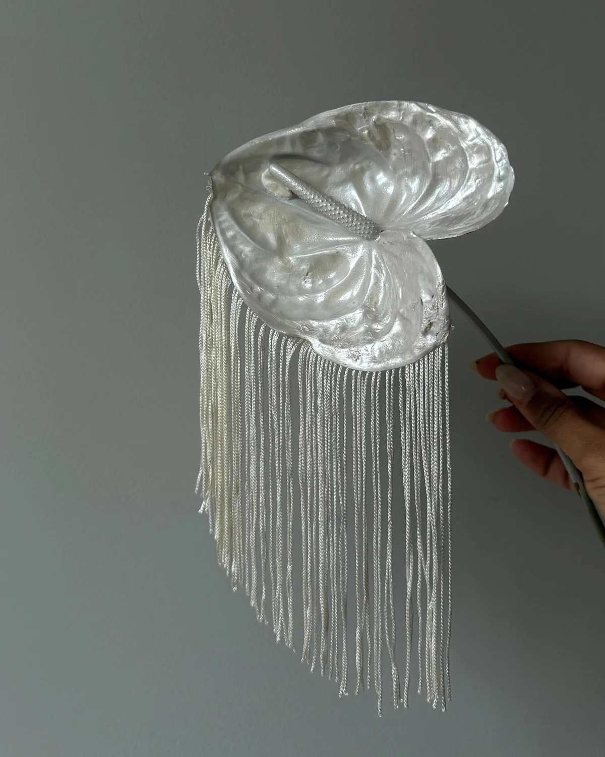 gpz7KBljWc6np8V1dgN0.webp