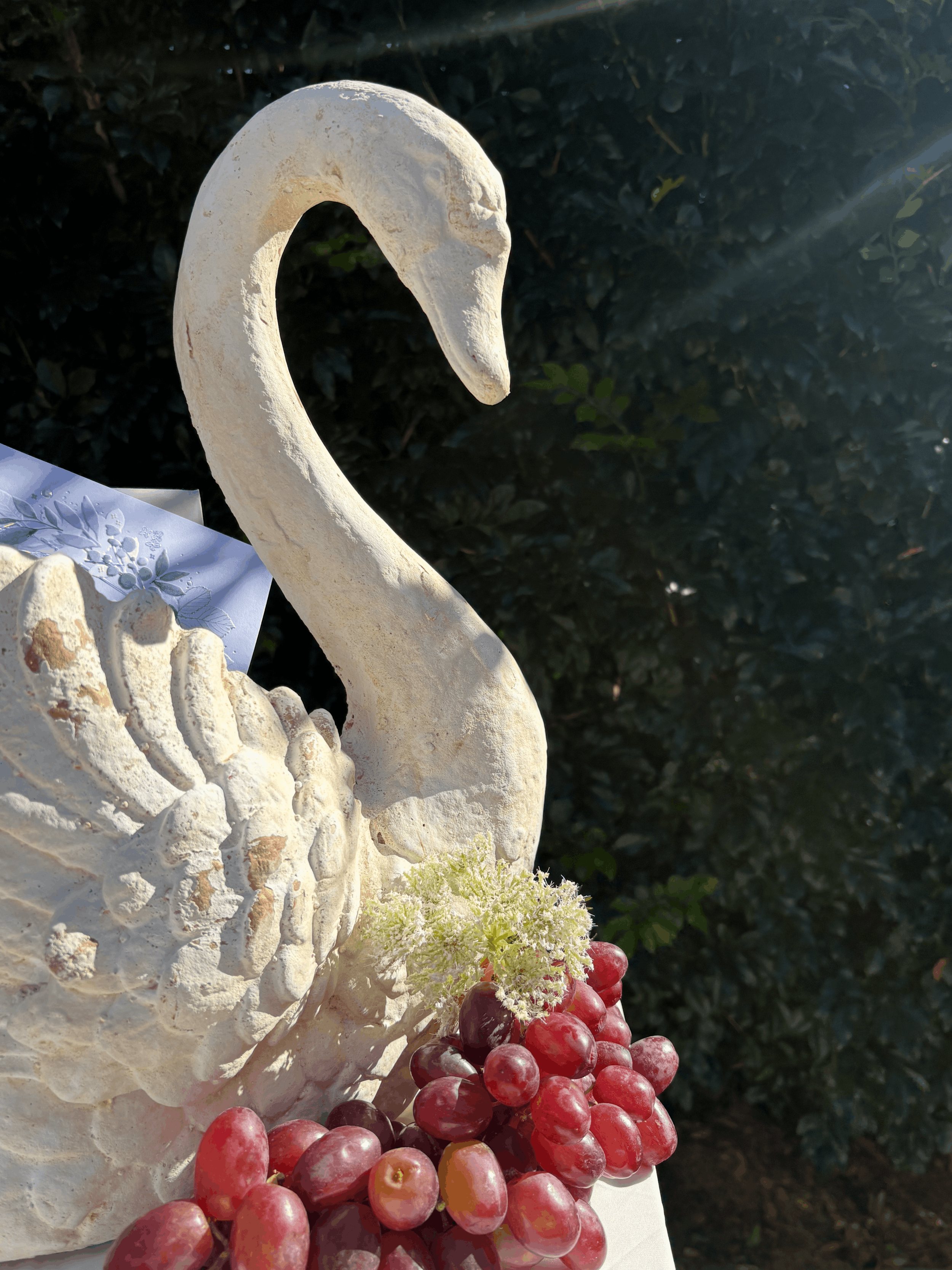 swan3.png