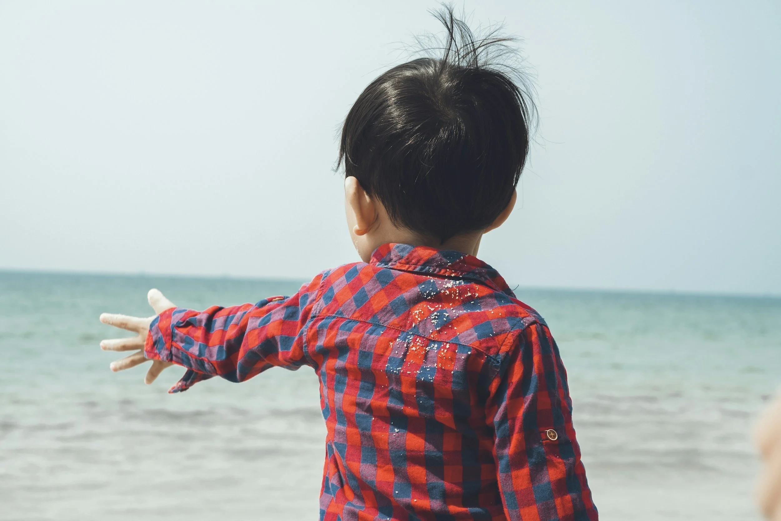 Nonspeaking Autism: What Is Actually Happening in Your Child's Brain.