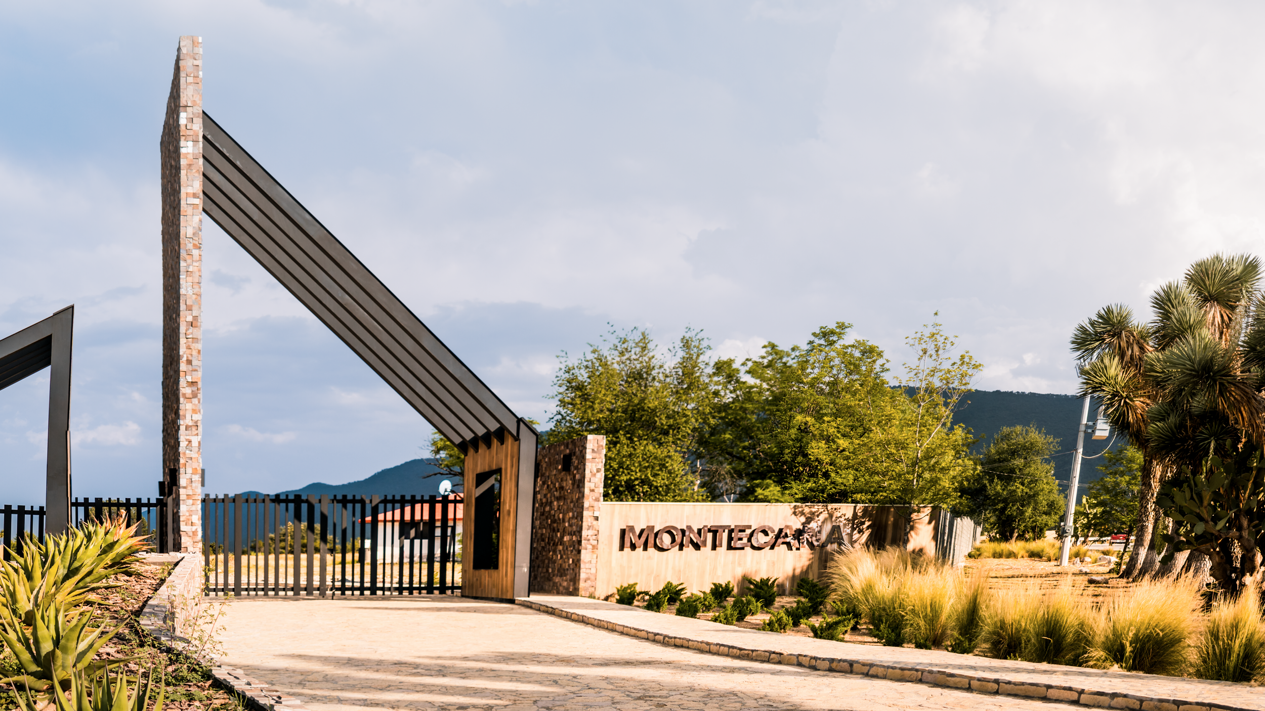 MONTECANA_Website_Mesa de trabajo 1 copia 11.png