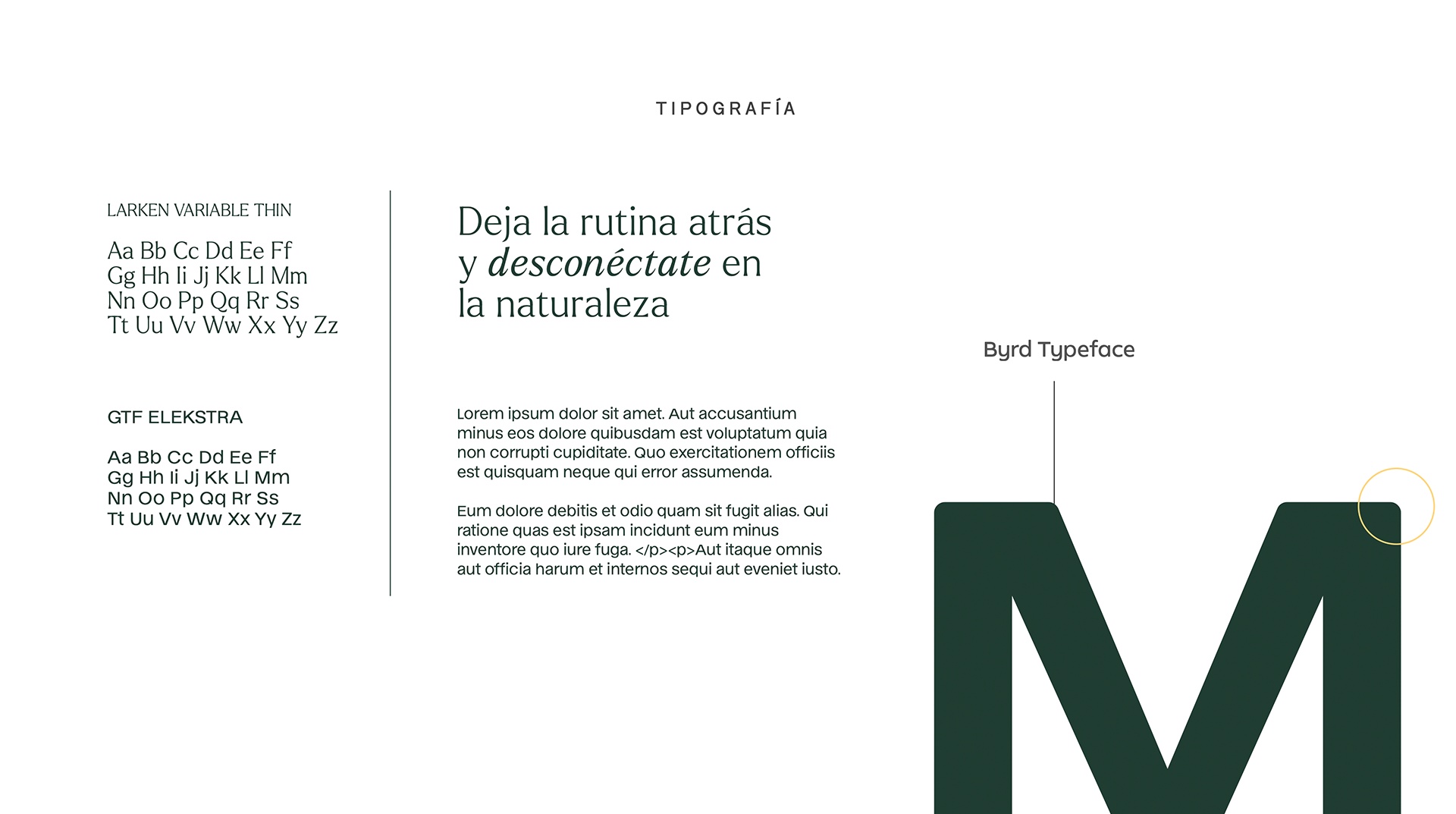 Montecana-_brandingArtboard-1.png