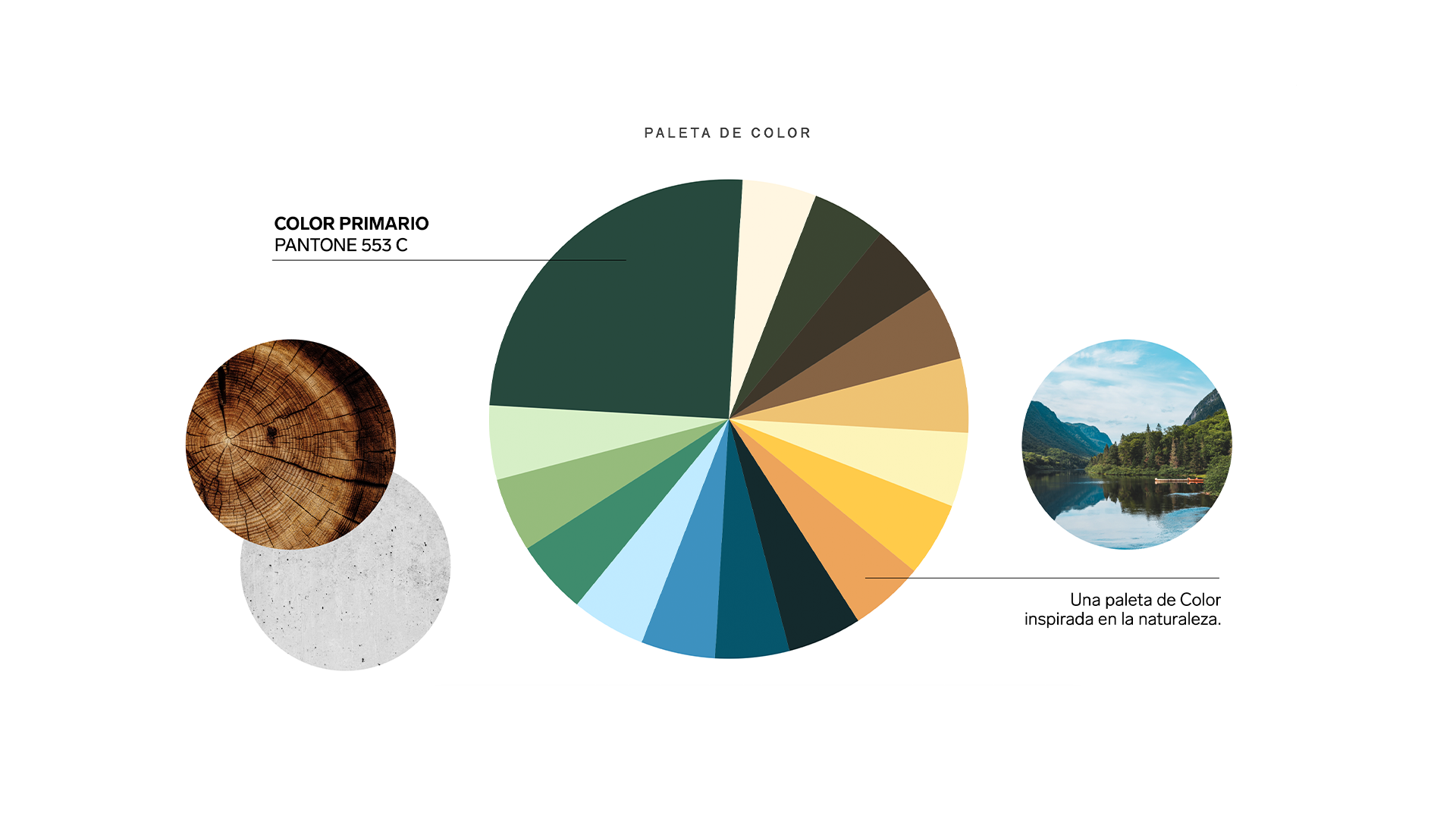 Montecana-_brandingArtboard-2.png