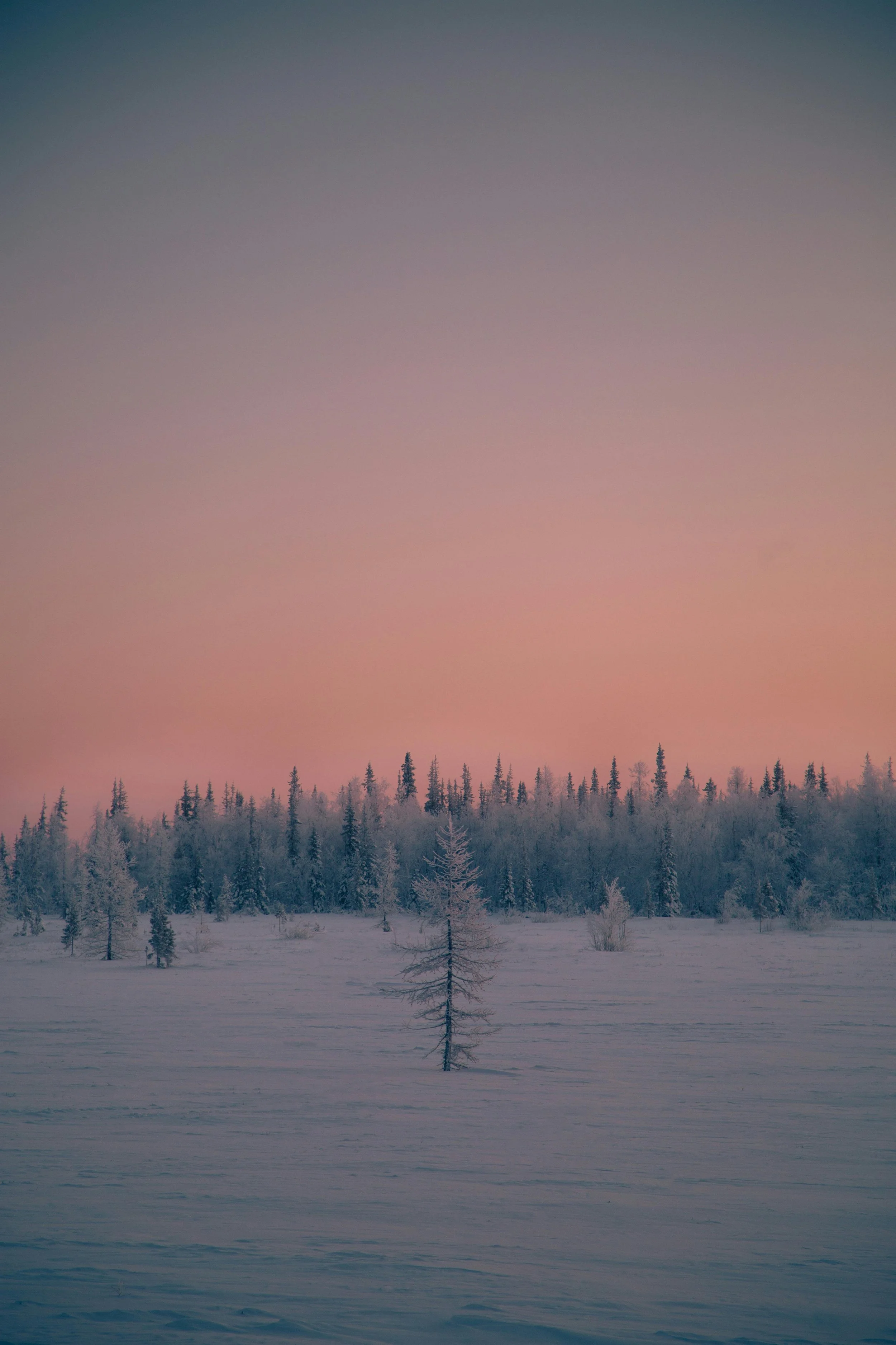 Why Winter is the Perfect Time to Prioritize Your Mental Health