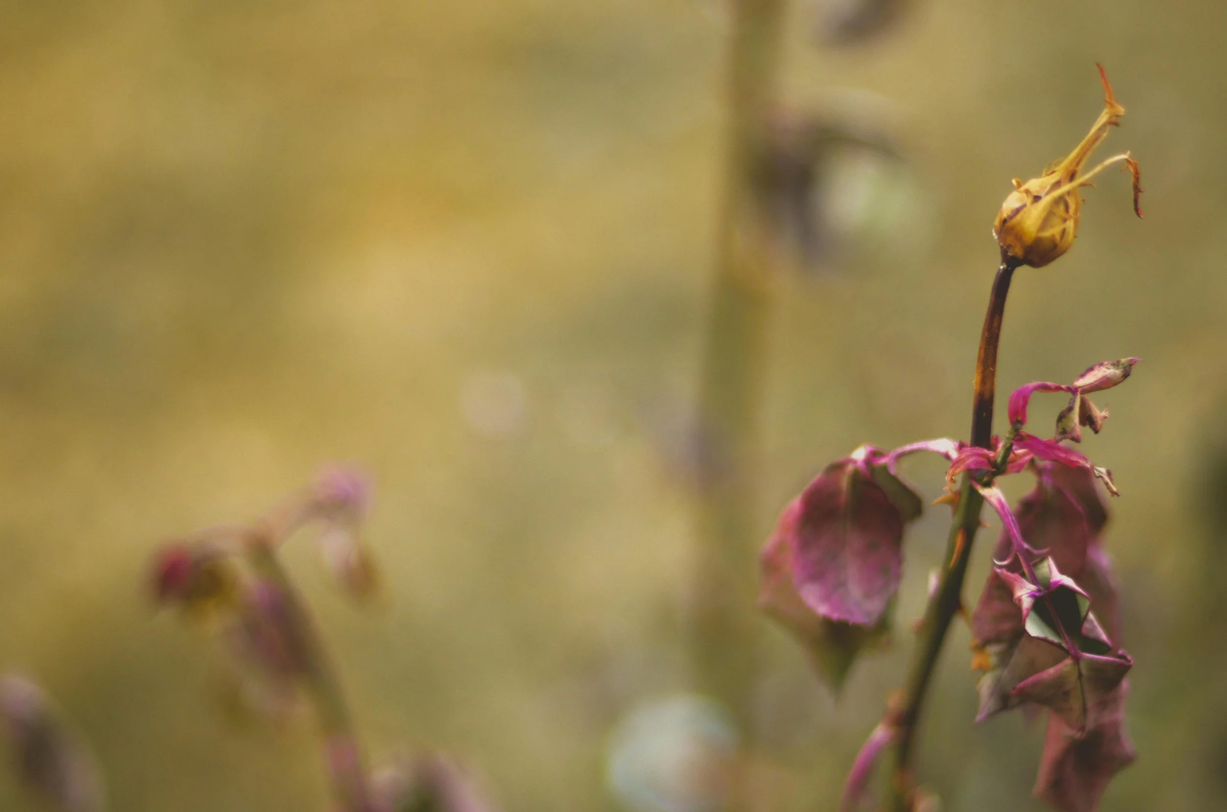 Embracing Change: How Coaching Can Help With Life Transitions