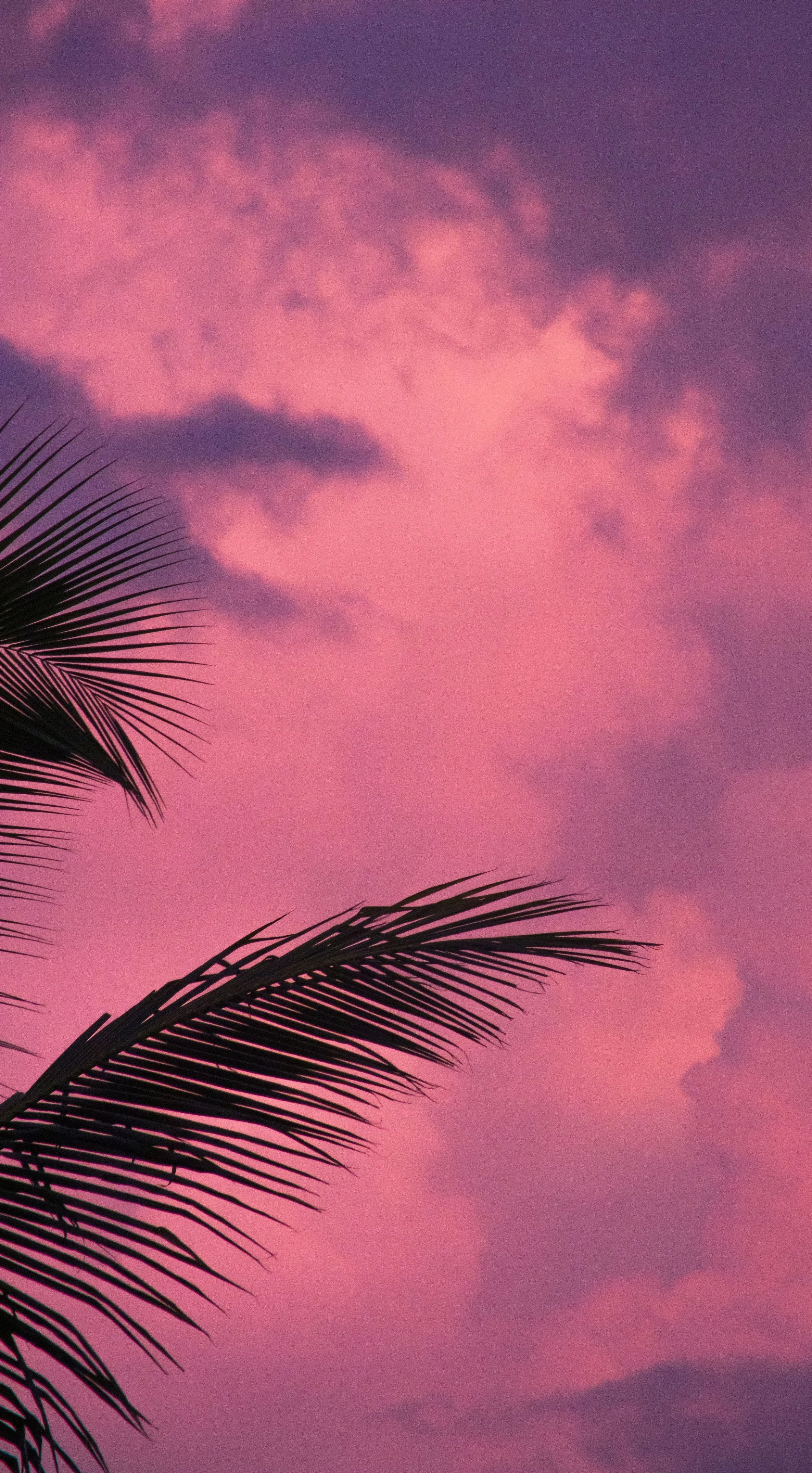 Summer Doesn’t Feel Relaxing When Your Nervous System Is Still in Survival Mode