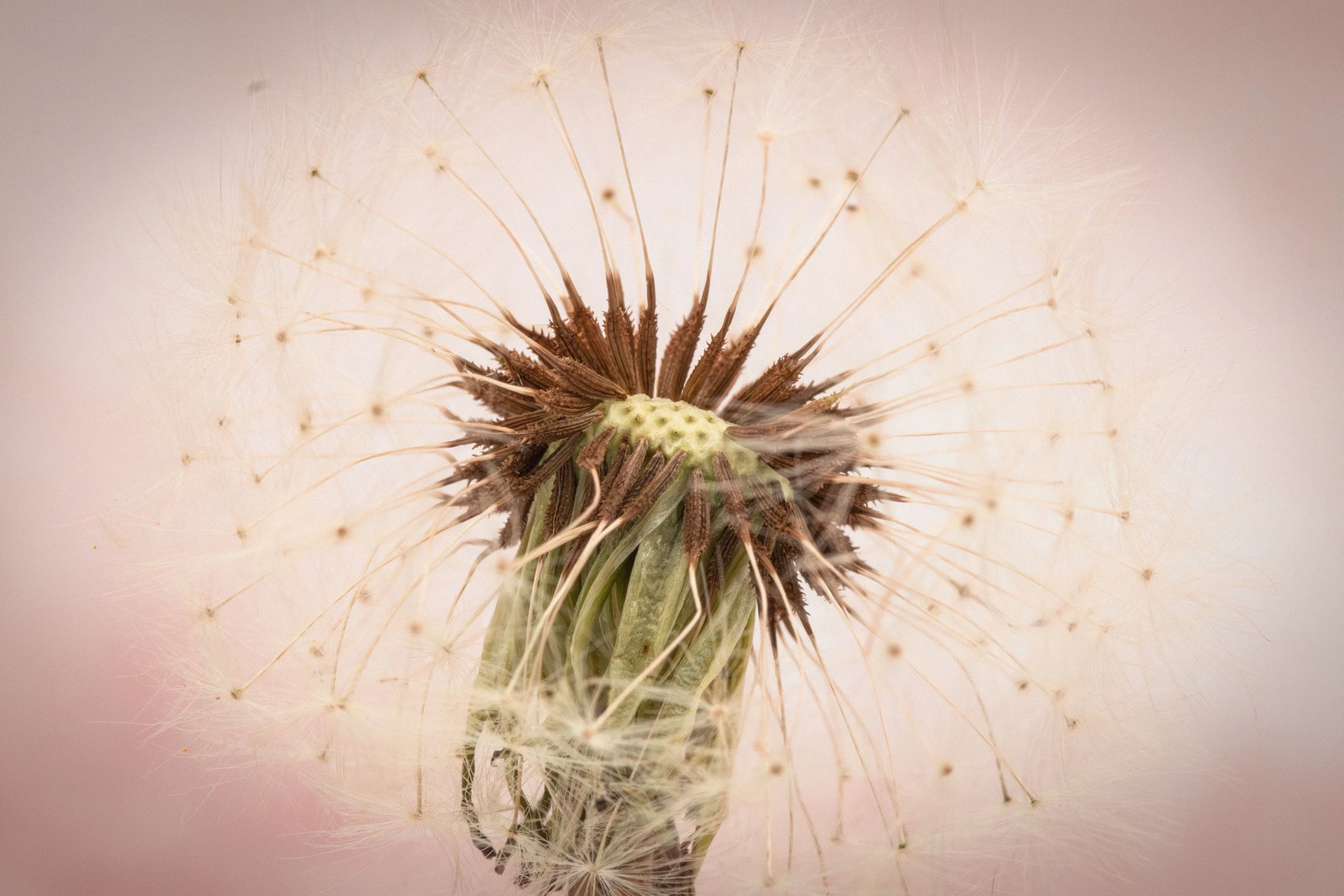 You’re Allowed to Want More: Outgrowing the Life You Once Prayed For