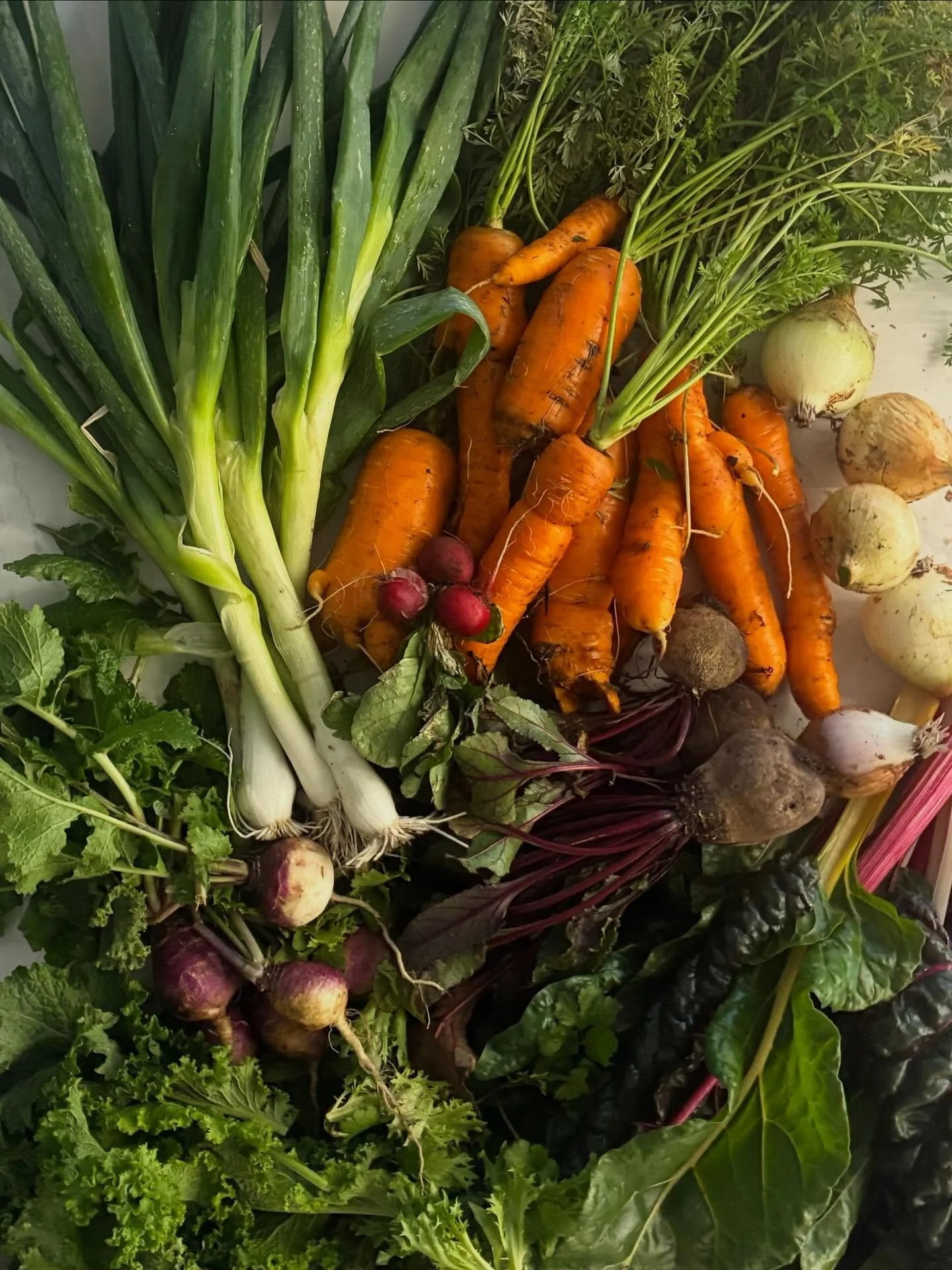 From our farm to our table! We at Project EATS had a wonderful team building day harvesting and tasting our own vegetables. We also explored creative ways to cook them, including 4 different ways to cook carrots! 🥕🥕🥕🥕
Straight from the soil, str