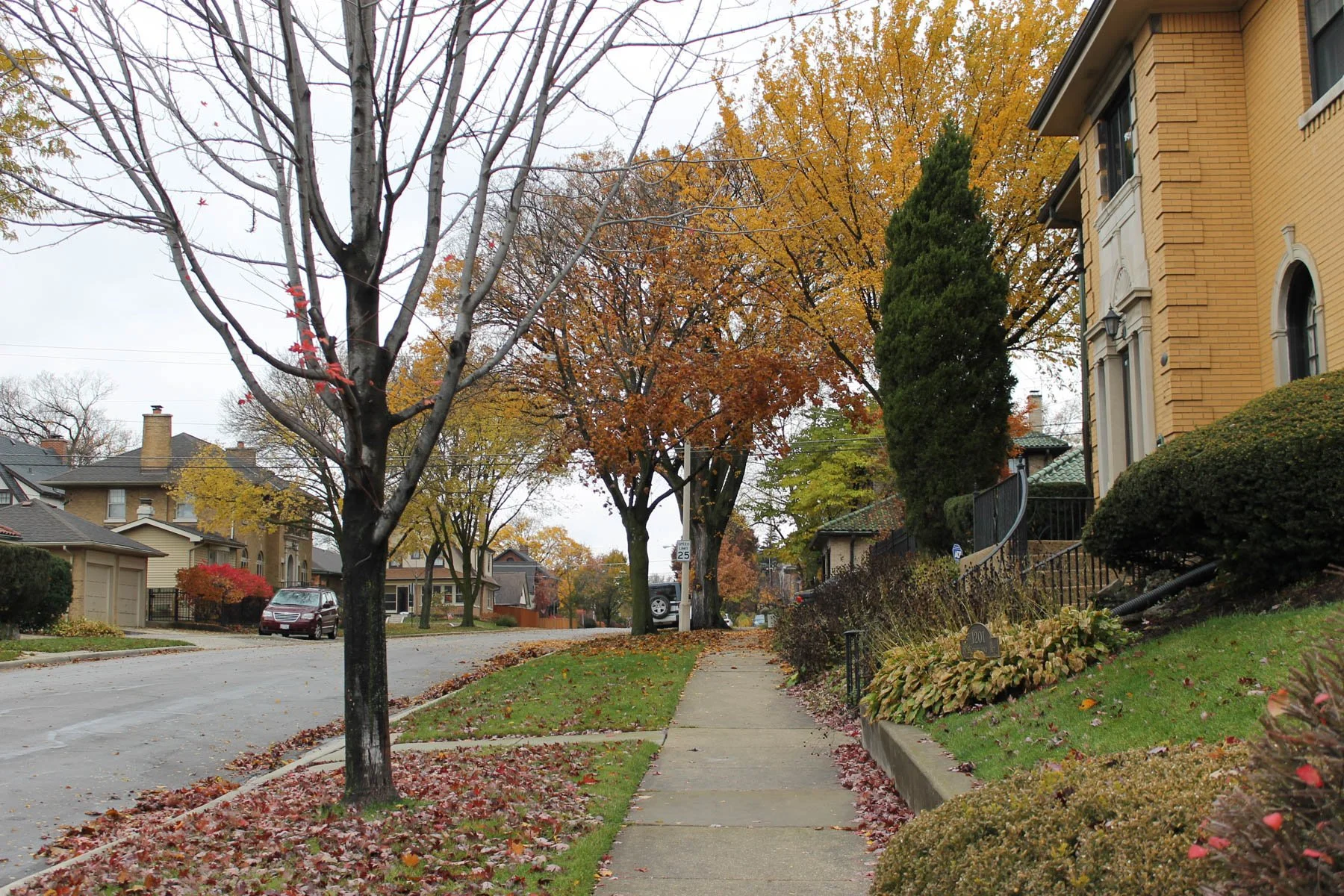 Untitled 3, (Autumn Leaves)