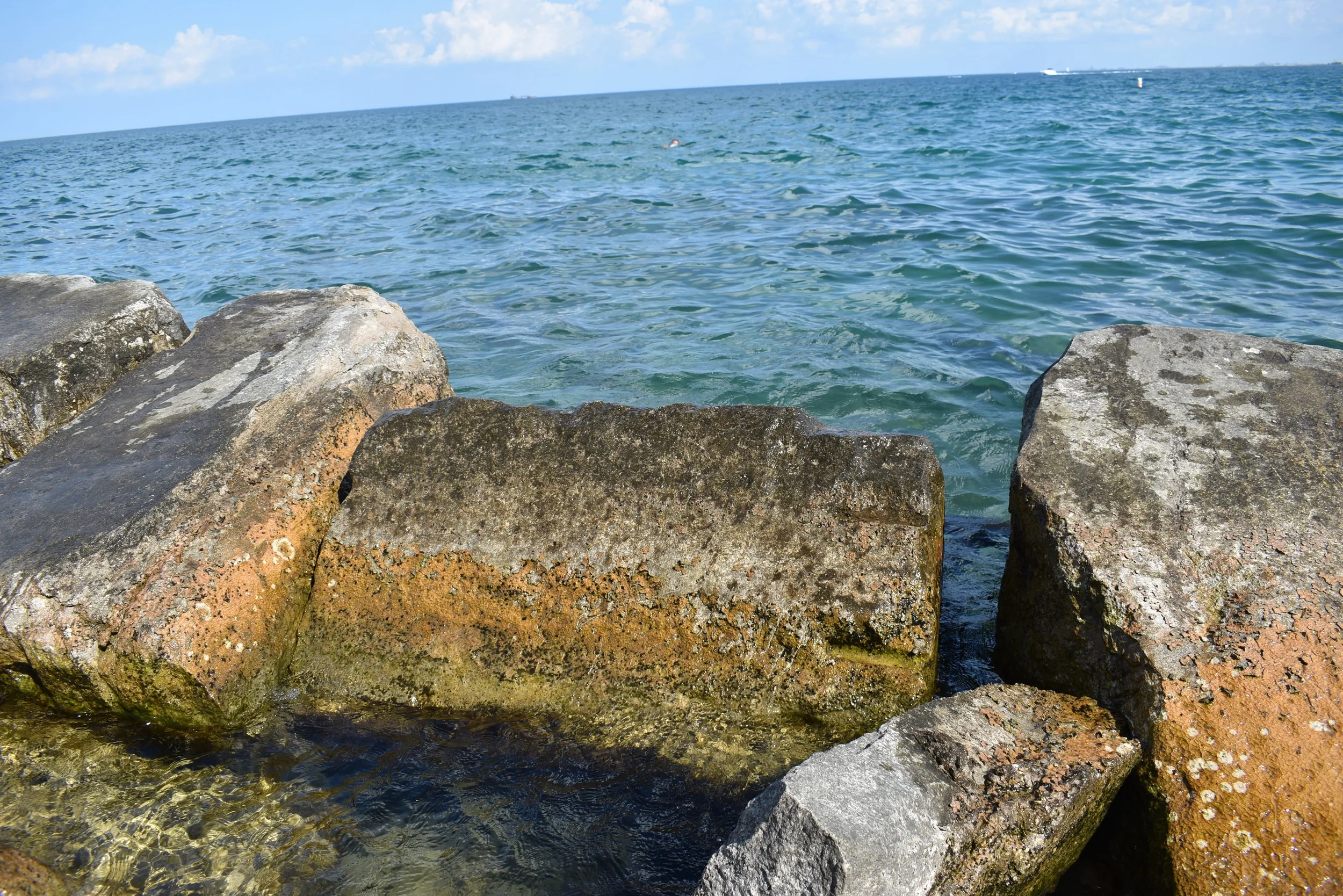 Untitled 3, (Chicago)