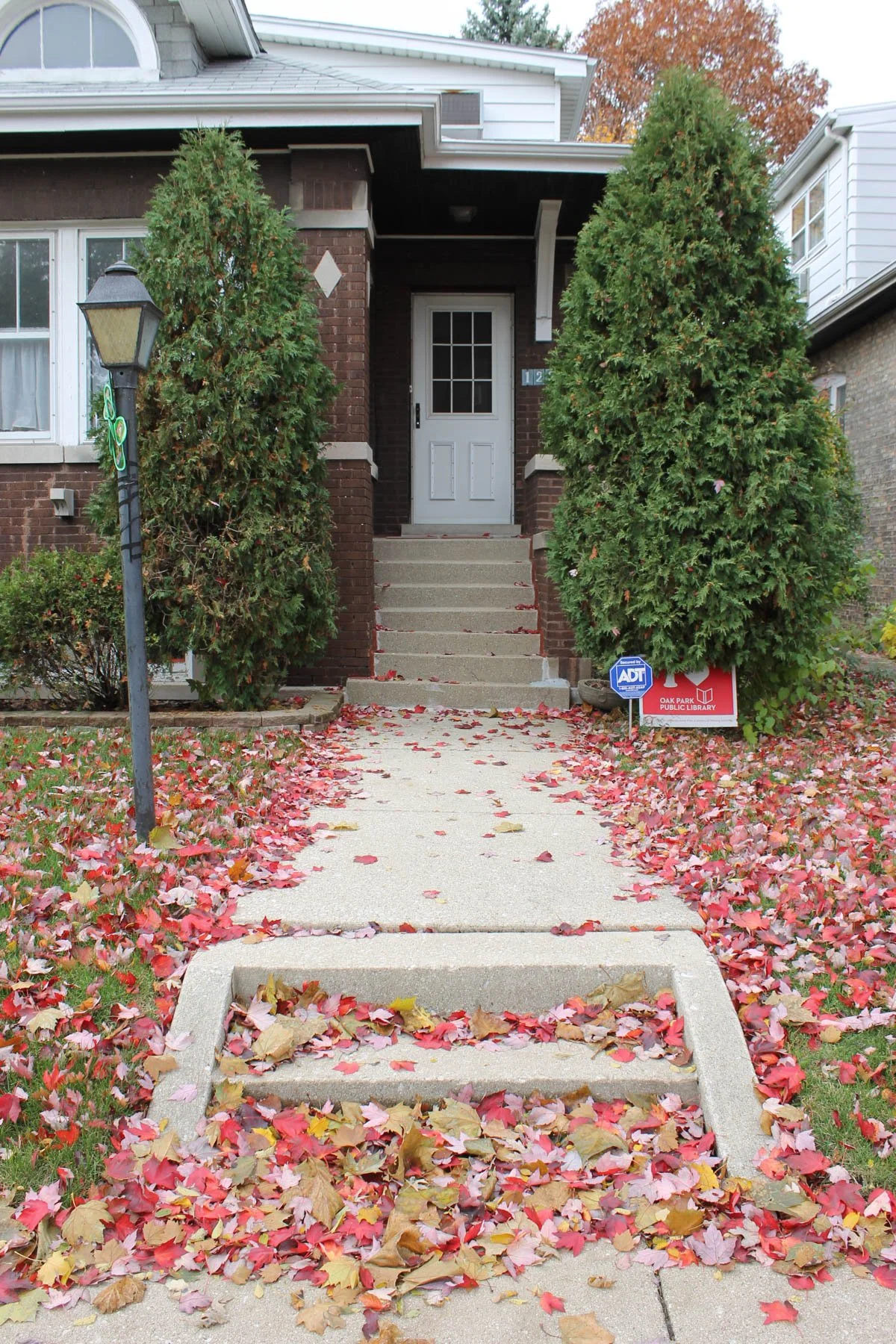 Untitled 1, (Autumn Leaves)