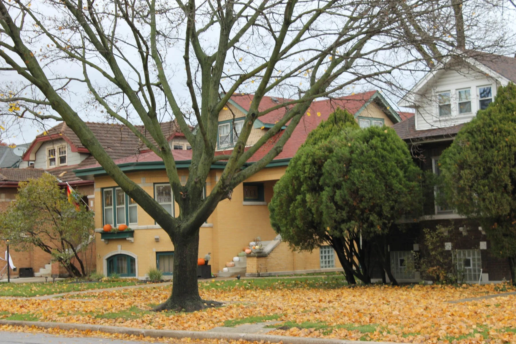 Untitled 2, (Autumn Leaves)