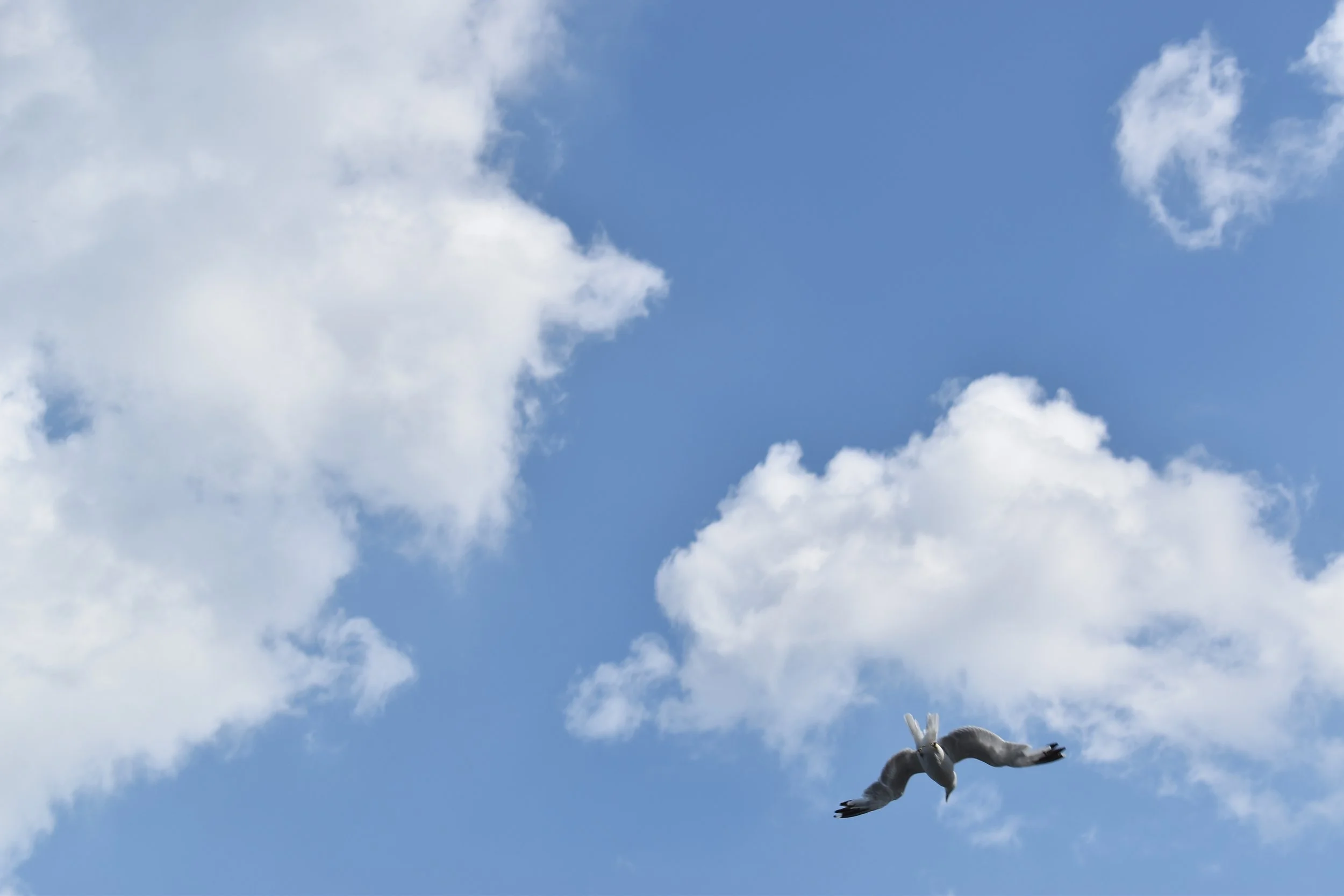 Untitled 02, (Chicago)