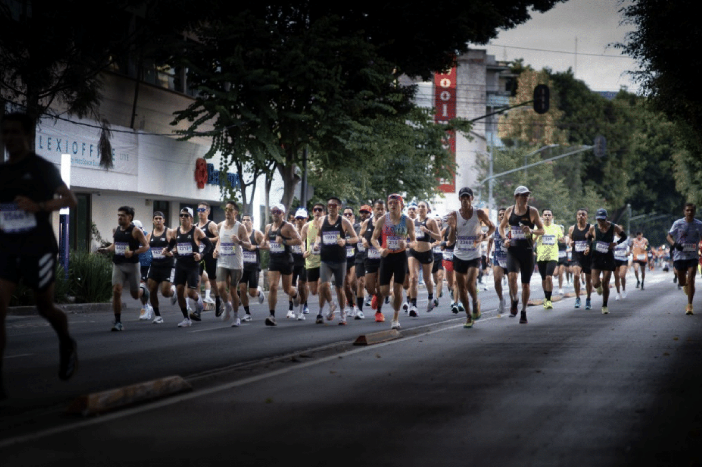 Screenshot 2025-11-12 at 13.34.53.png