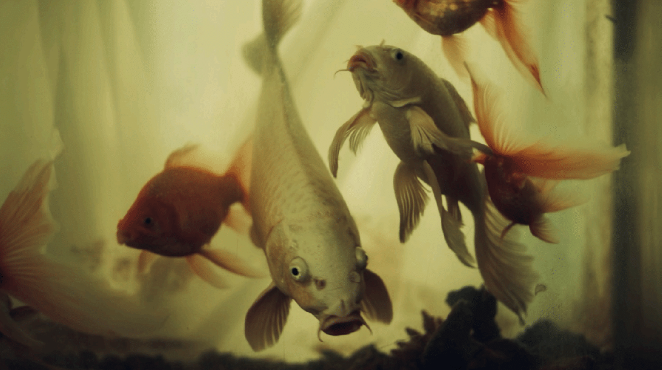 Screenshot 2025-11-12 at 13.31.26.png