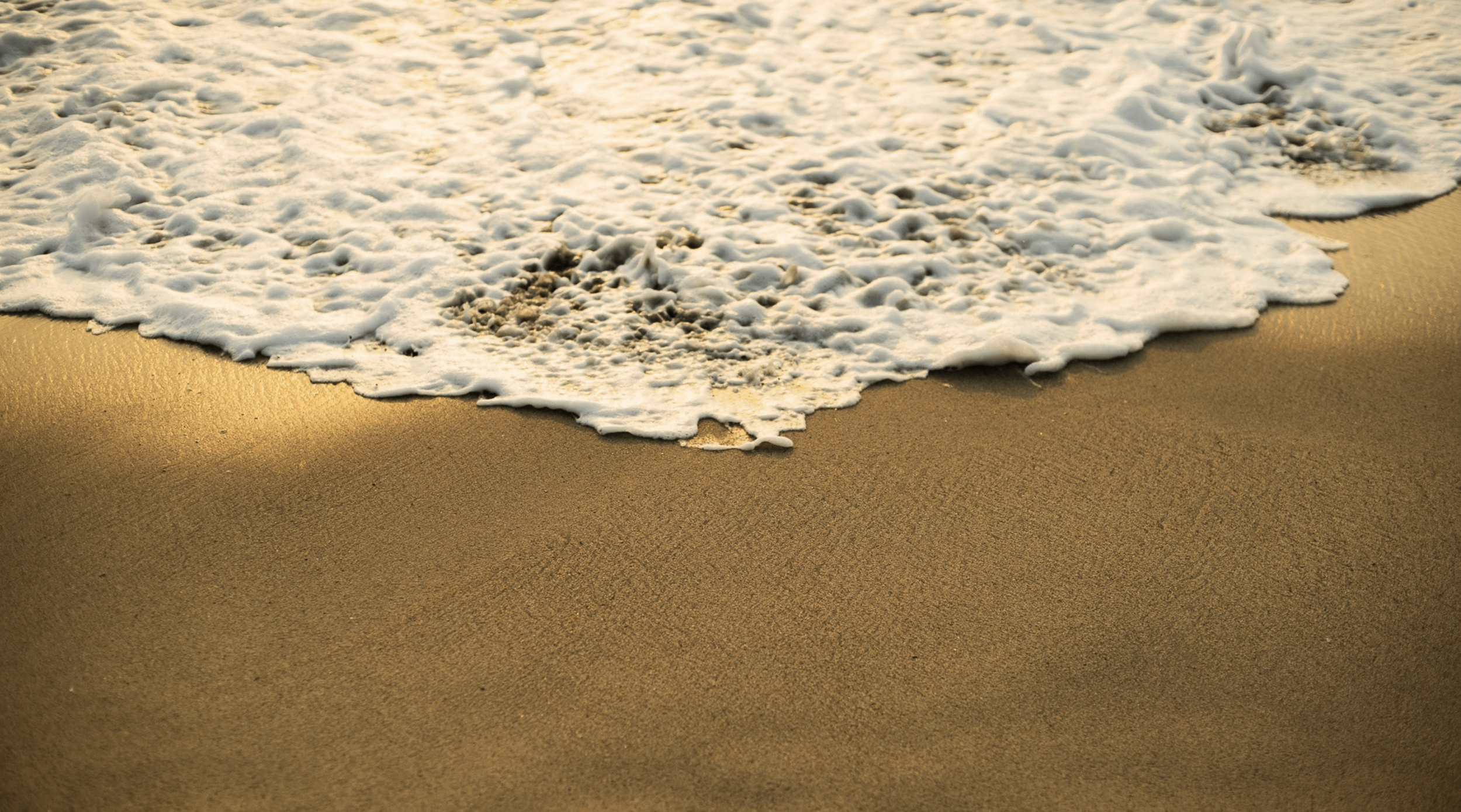 Screenshot 2025-11-12 at 13.48.03.png