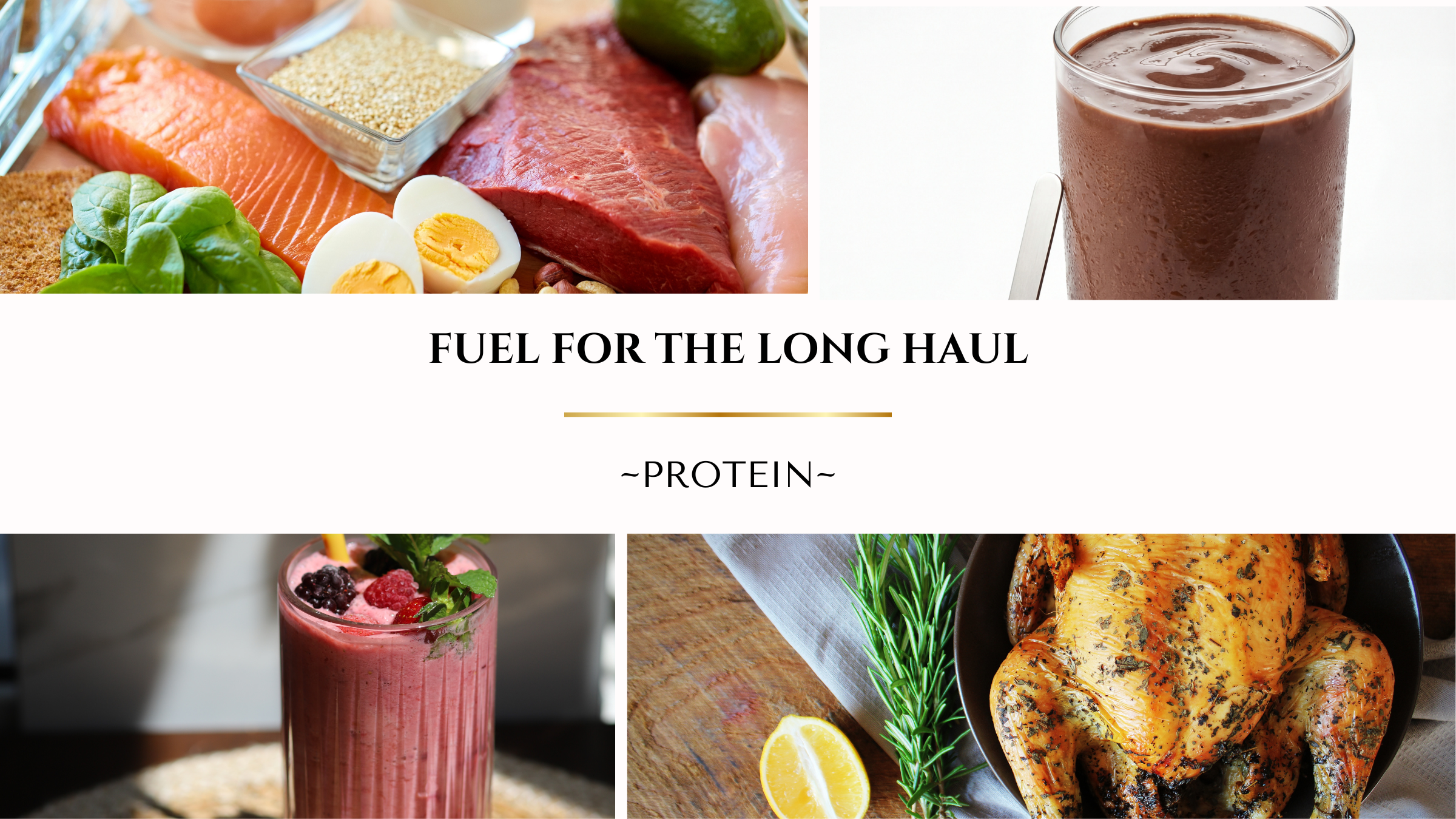 Fuel For the Long Haul: Protein!