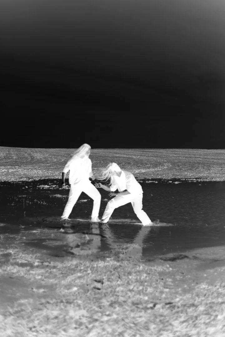 fight web 3.jpg