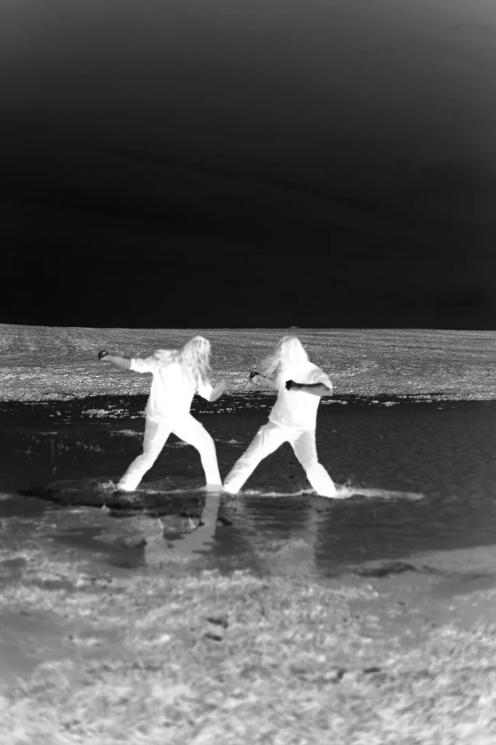 fight web 2.jpg