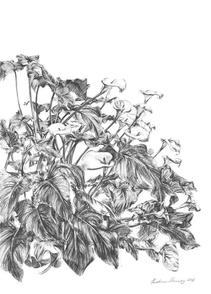 Arum Lilies_WebFile NoWM.jpg