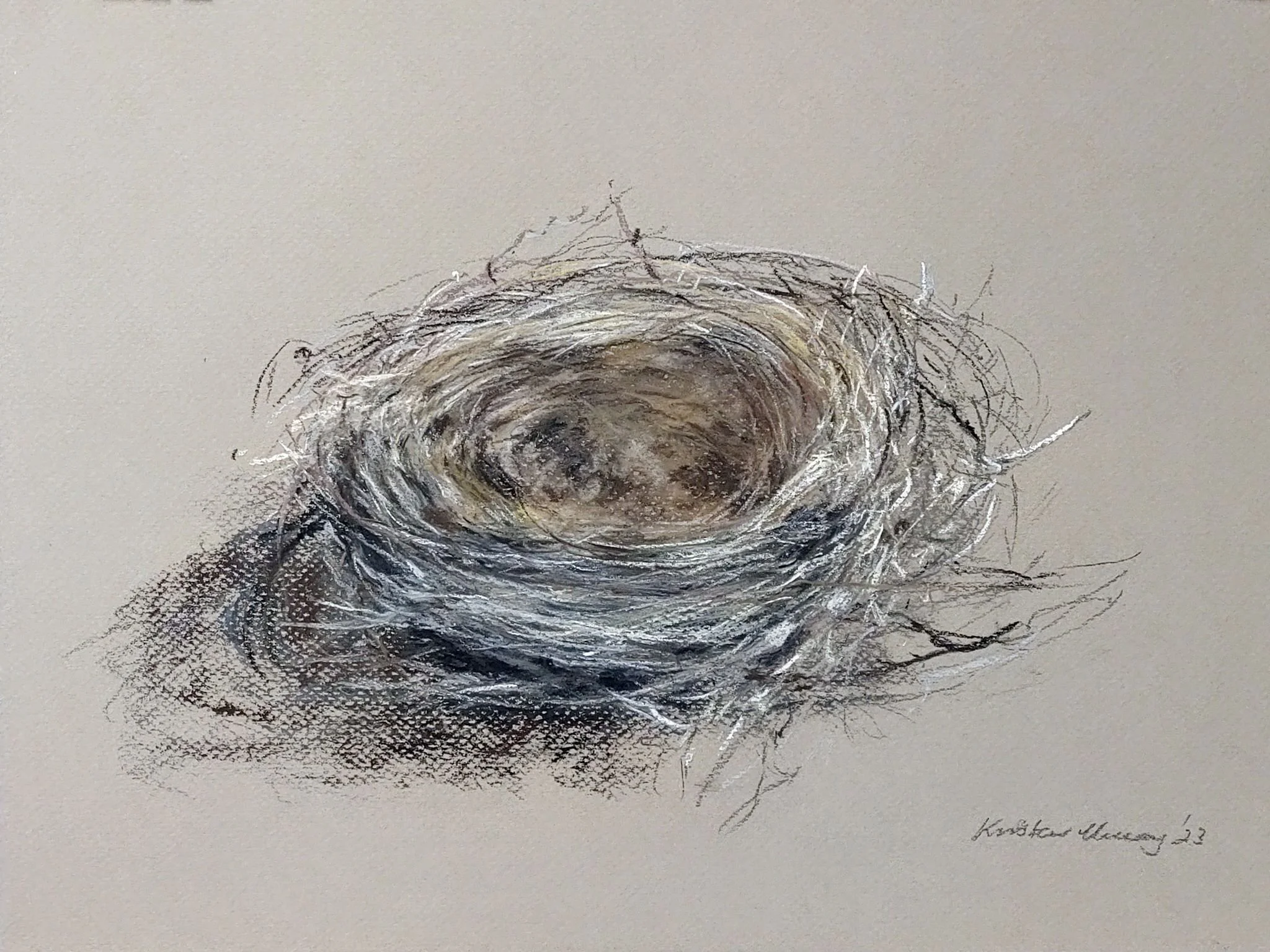 Bird nest, large 2023_Pastel_A3_LS 534KB WF-M-NWM.jpg