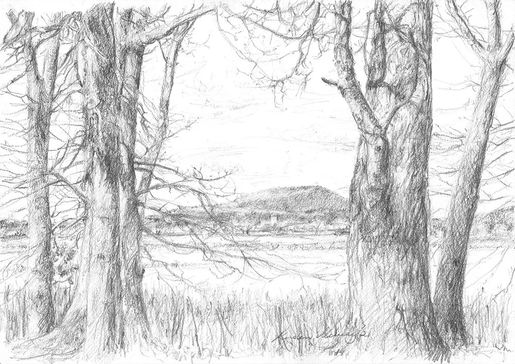 Unicorn Lane Exhibition